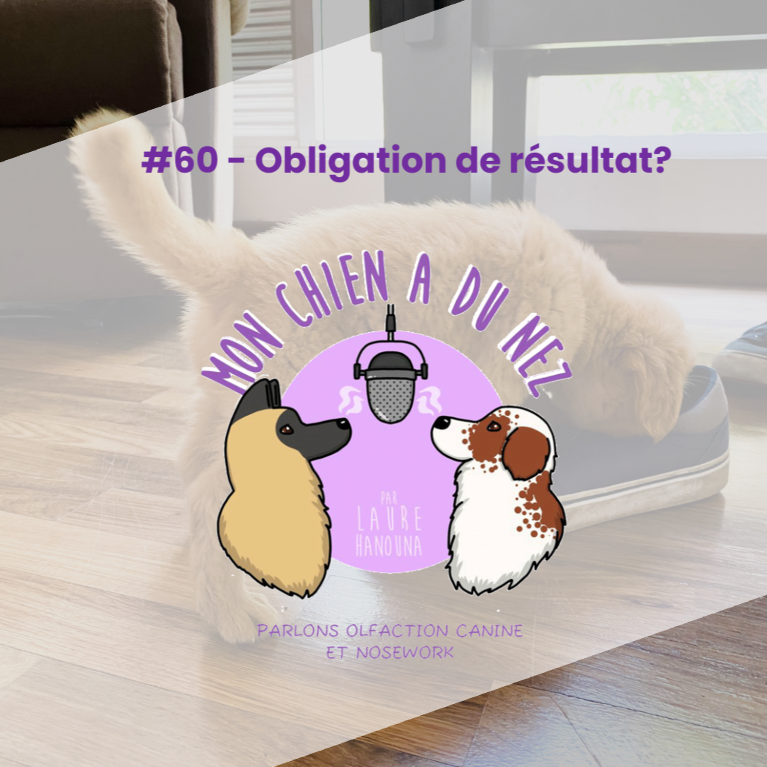 Mon chien a du nez!