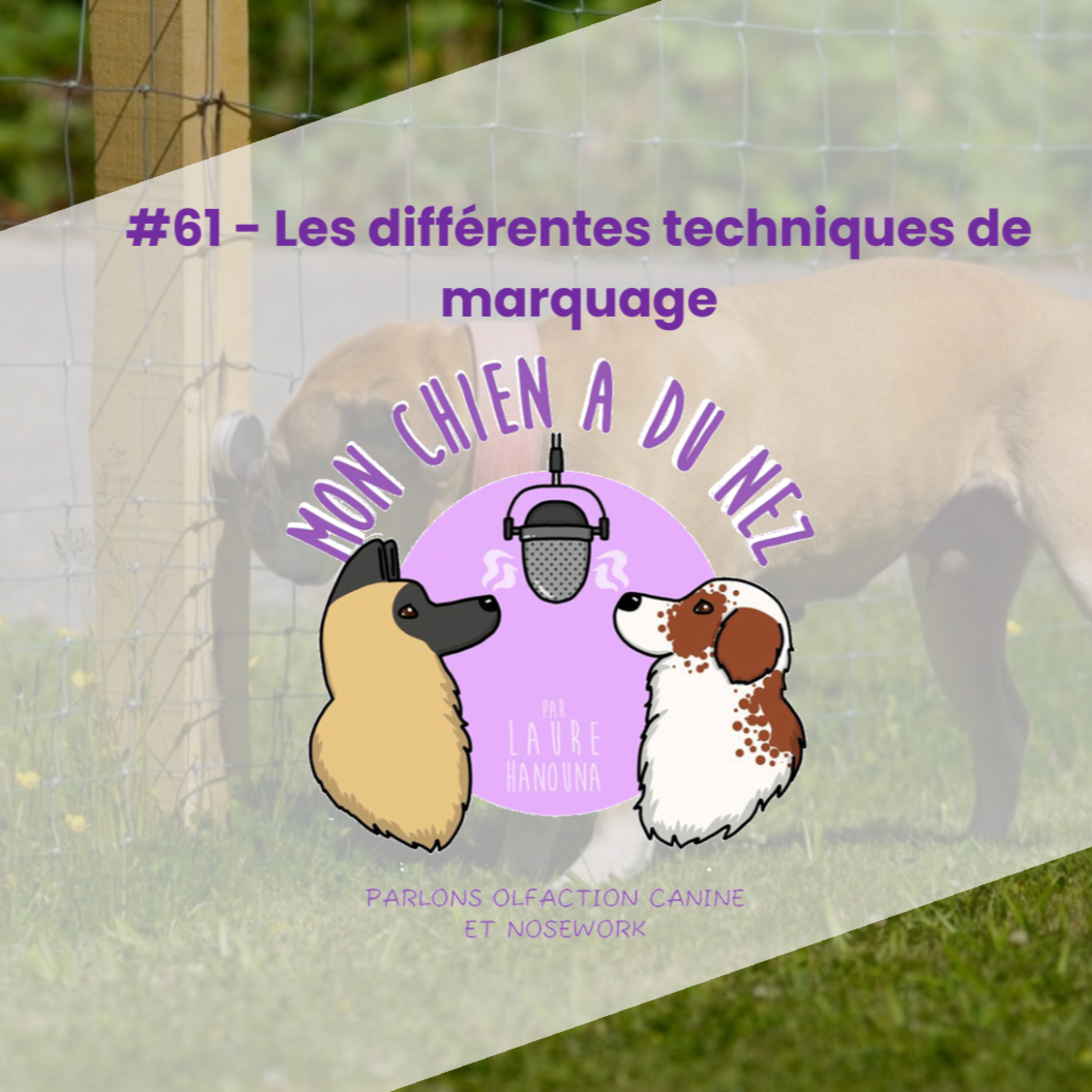 Mon chien a du nez!