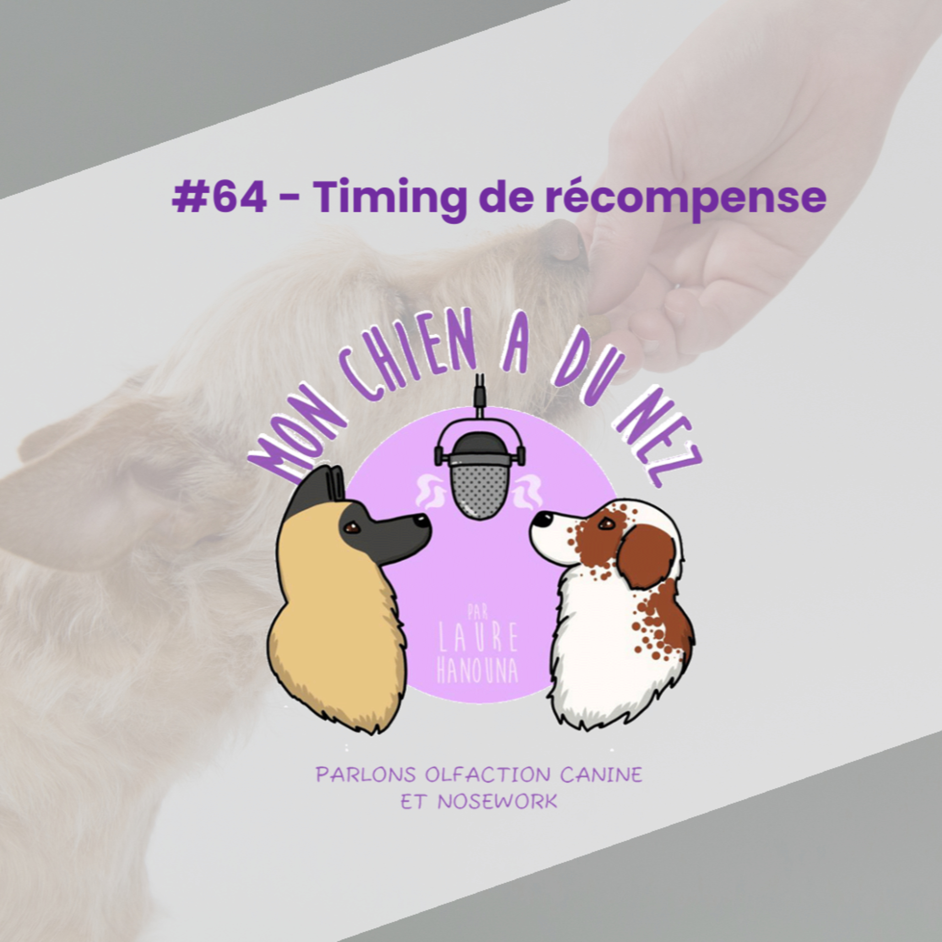 Mon chien a du nez!