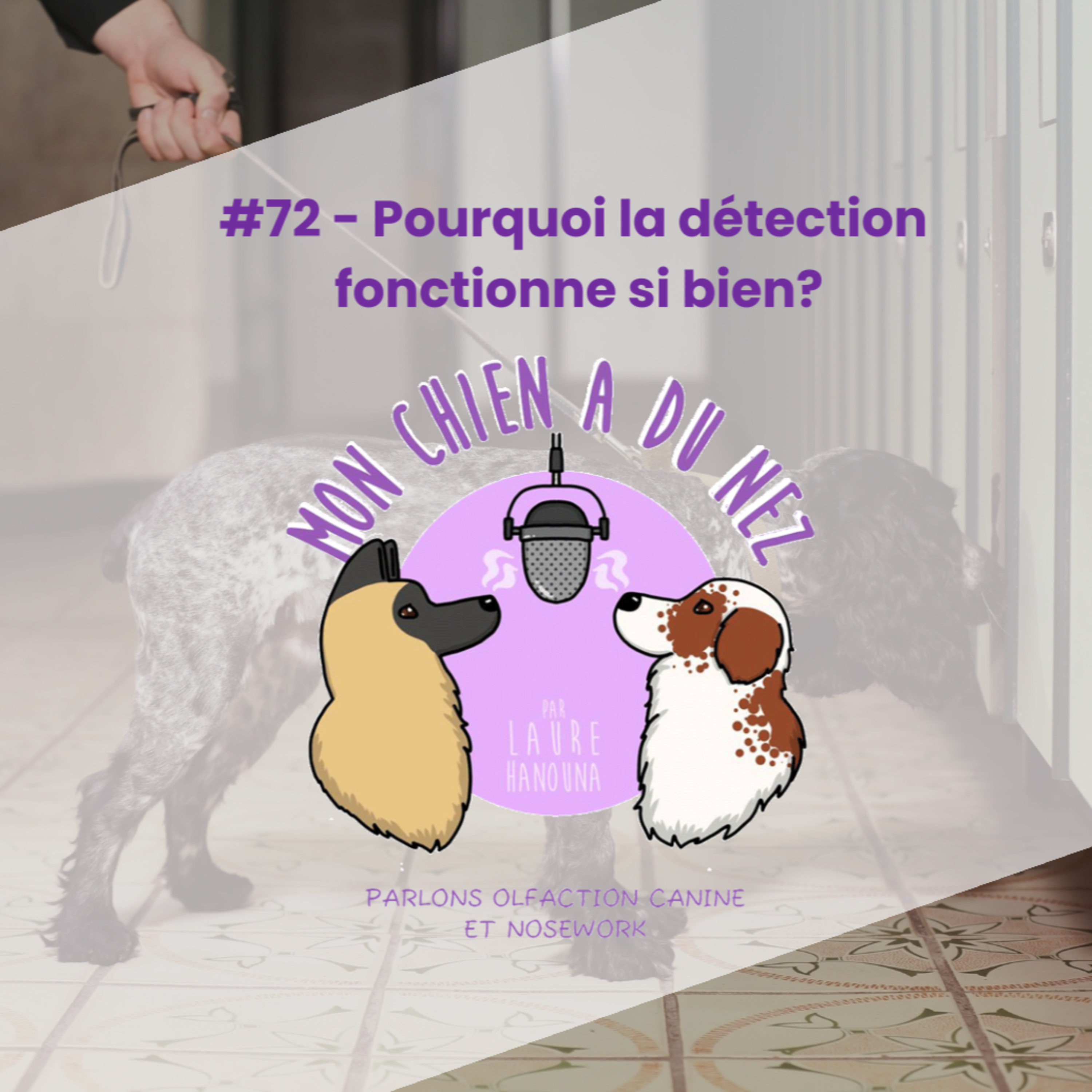 Mon chien a du nez!