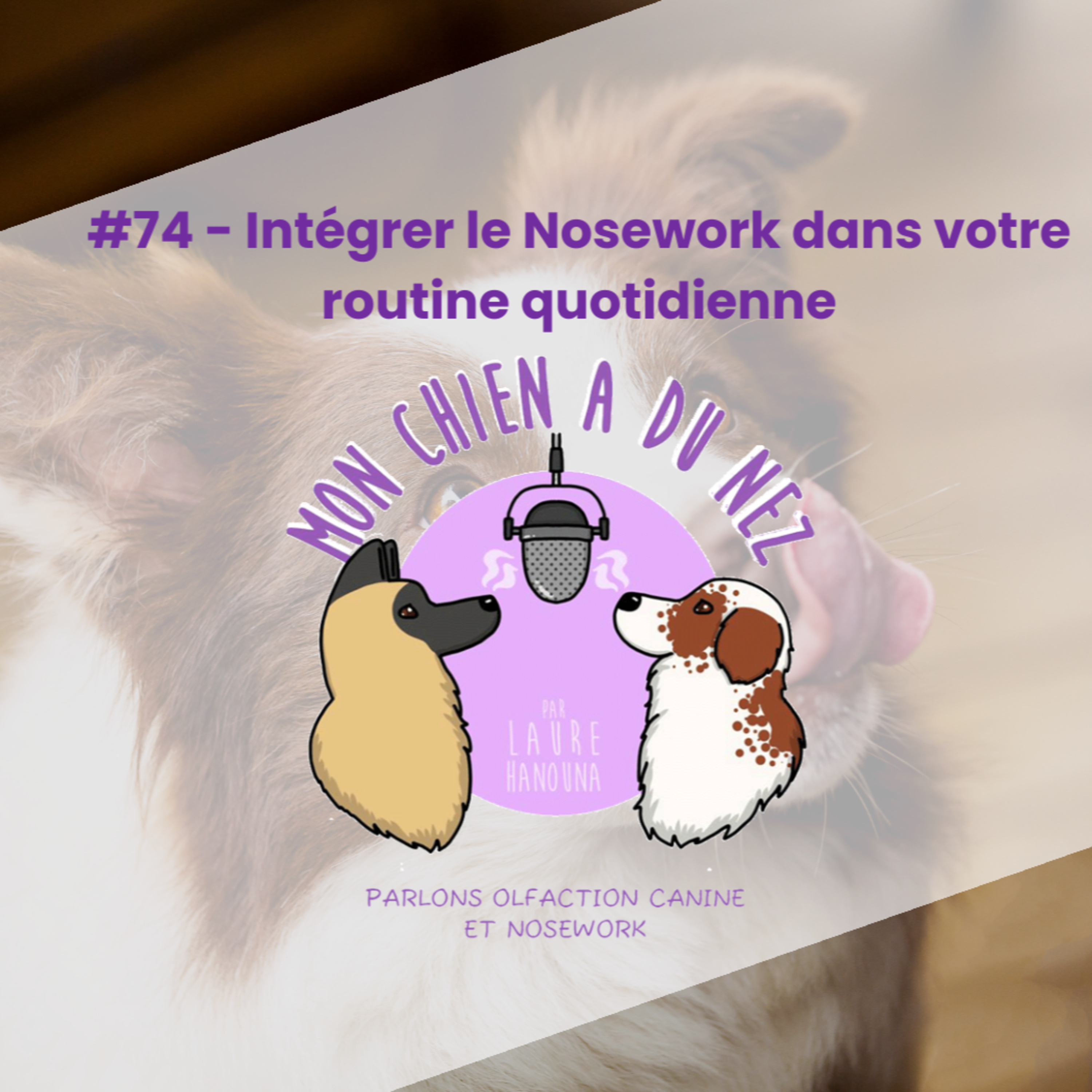 Mon chien a du nez!