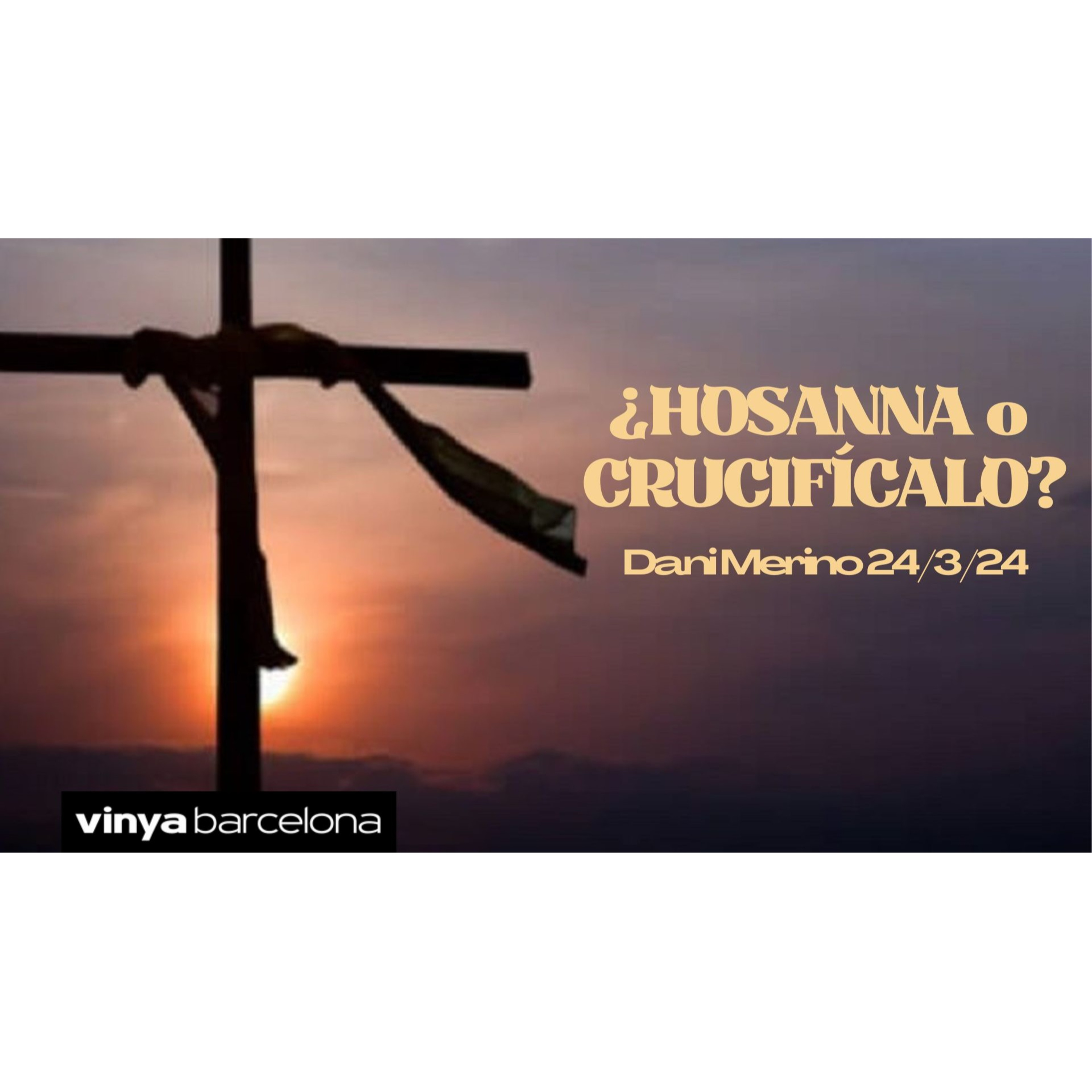 Vinya Barcelona