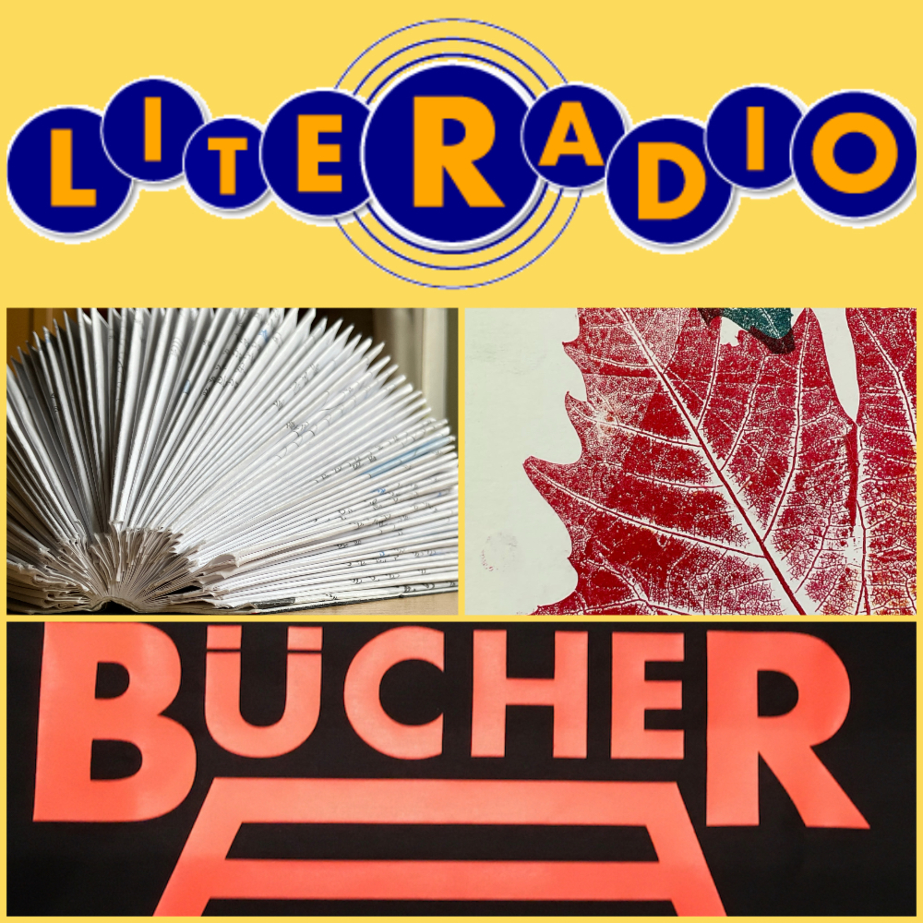 📖 Bücherbar - Das Autorenmagazin