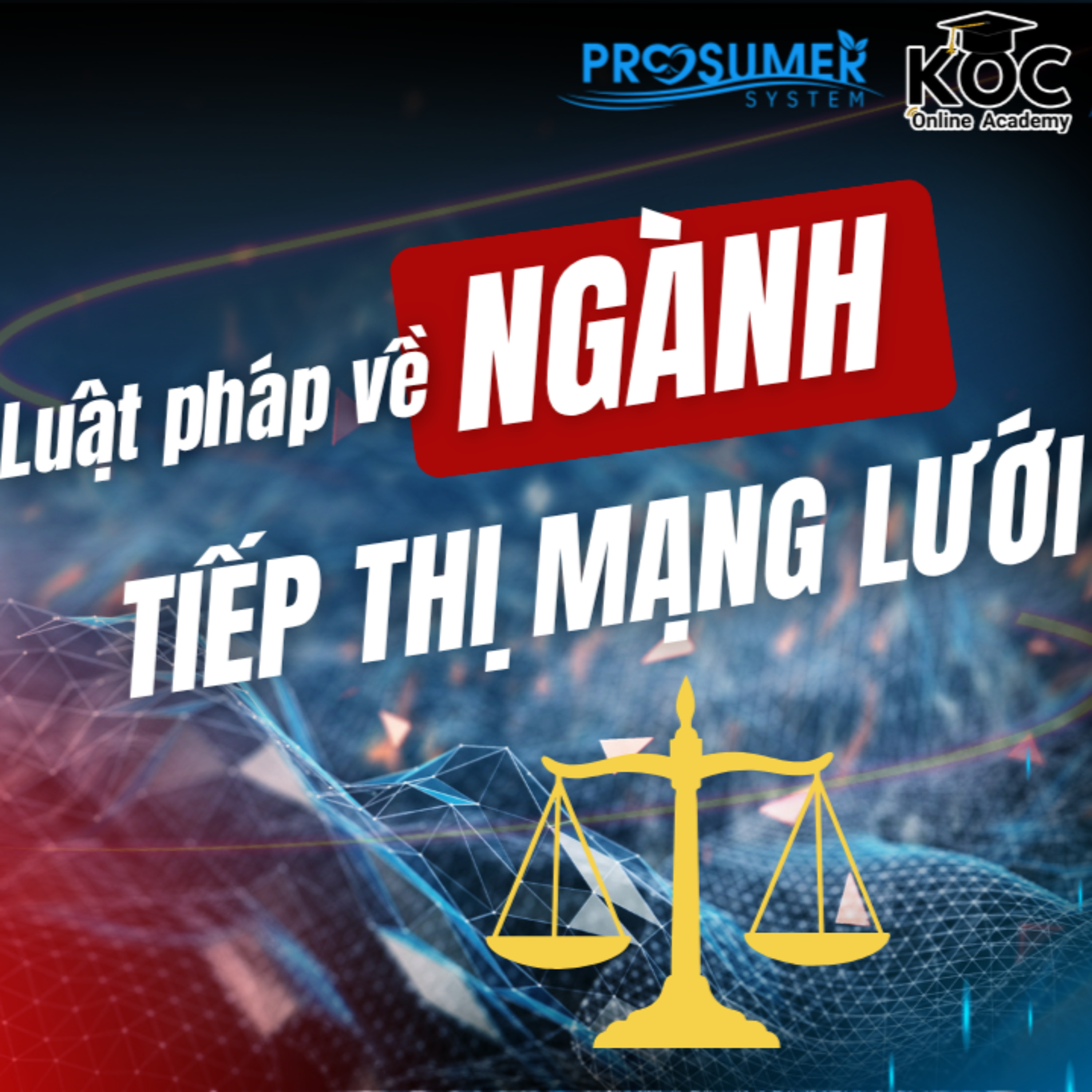 Ngày 2 - Luật pháp về ngành tiếp thị mạng lưới tại Việt Nam