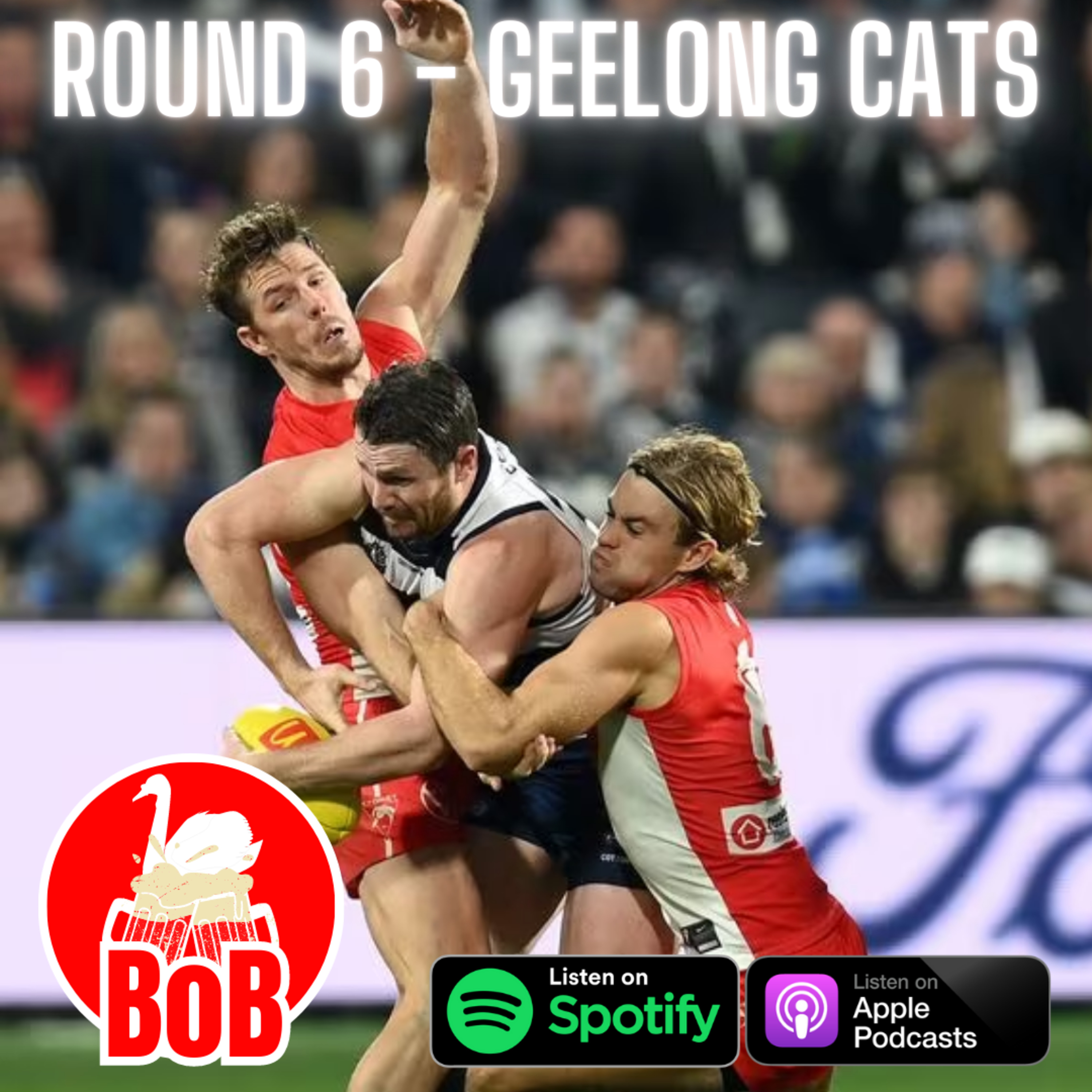 S23: R6 v GEEL | Grand Final rematch brought back some old feelings for our young injured team. episode artwork