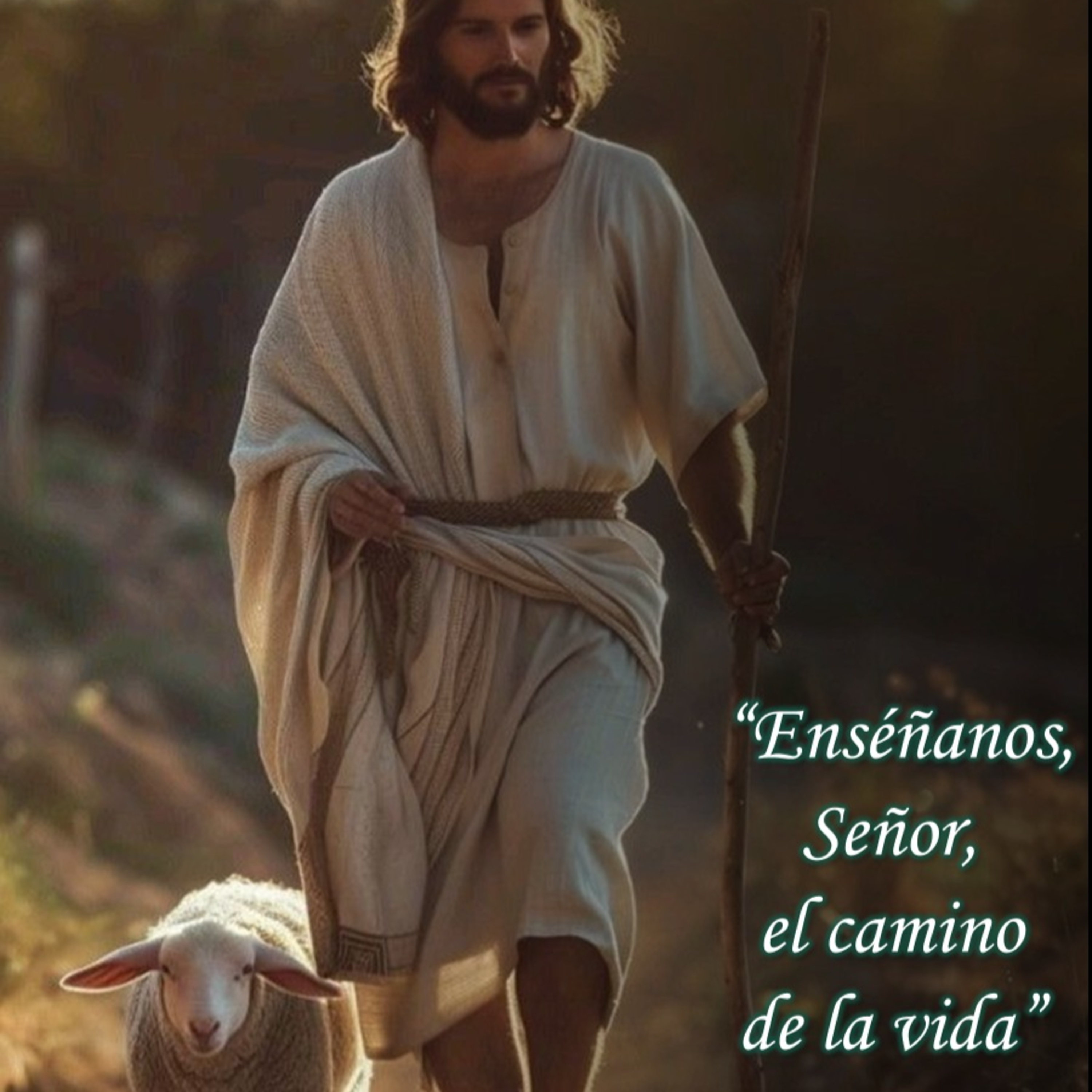 Luz para tus pasos