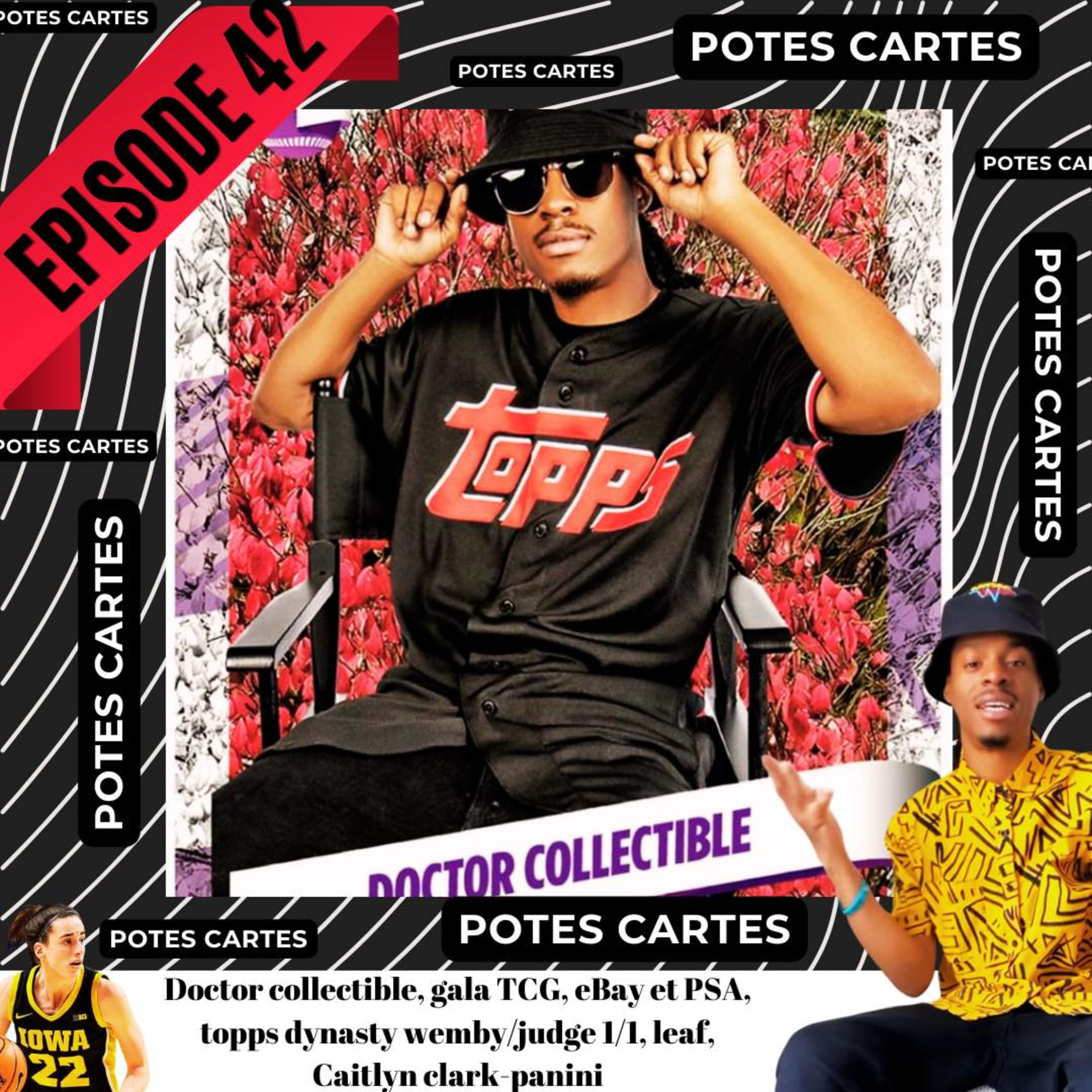 Potes Cartes