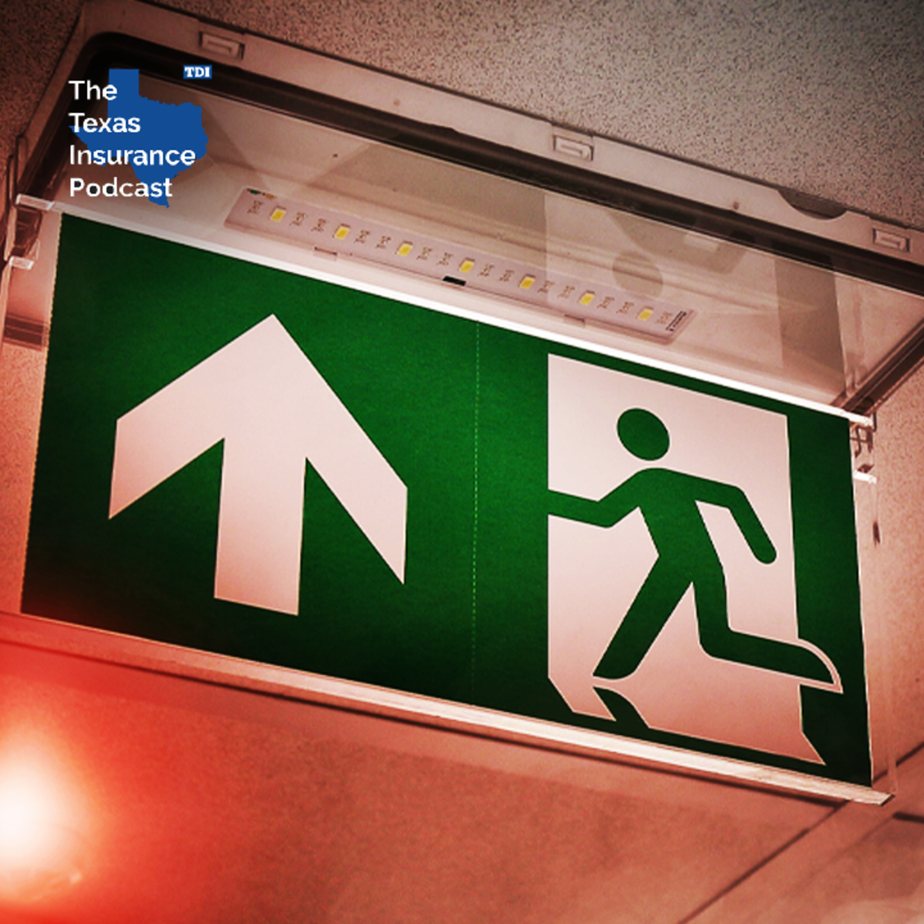 Everyone needs a fire escape plan episode artwork