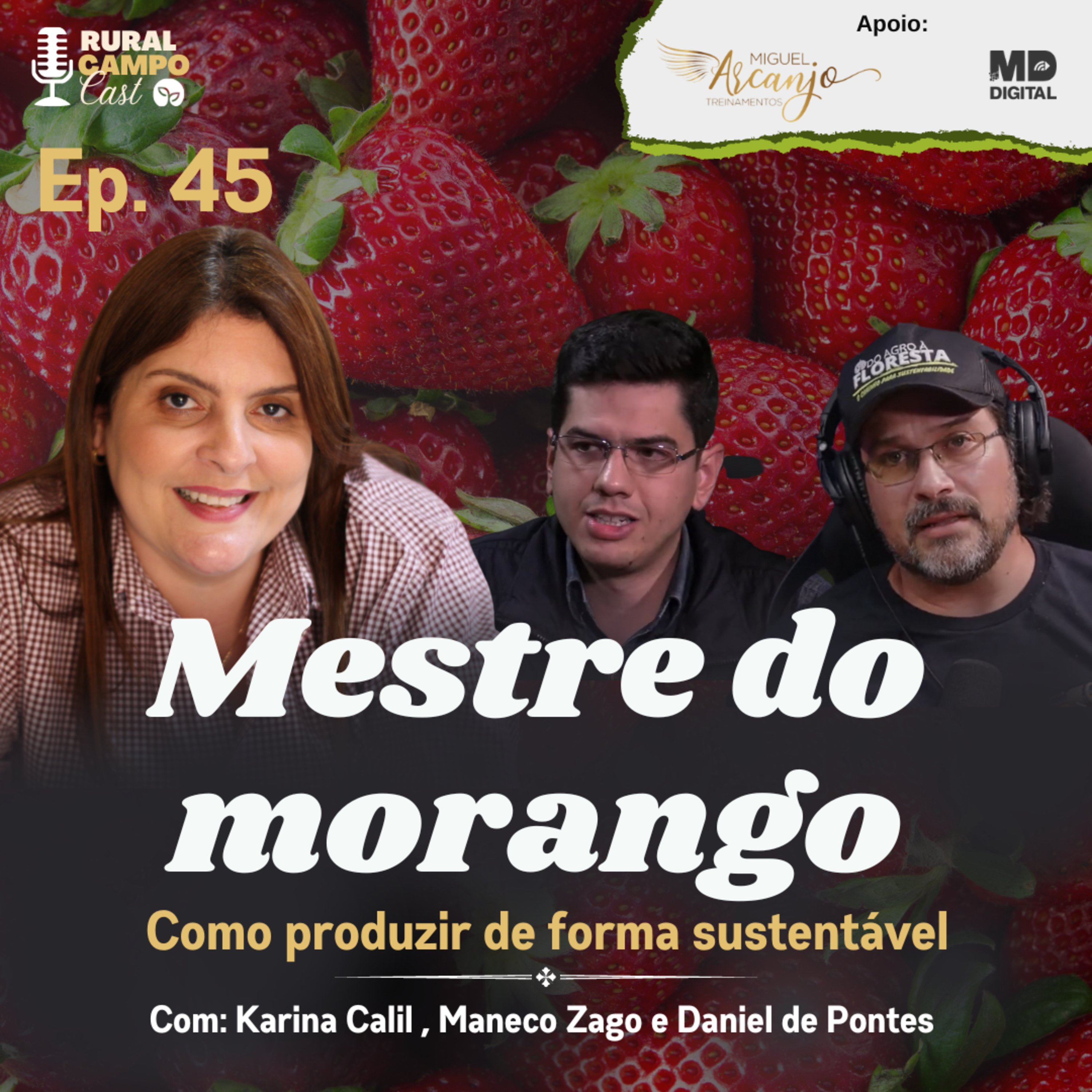 RuralCampoCast / Ep. 45 - Mestre do morango - como produzir de forma sustentável episode artwork
