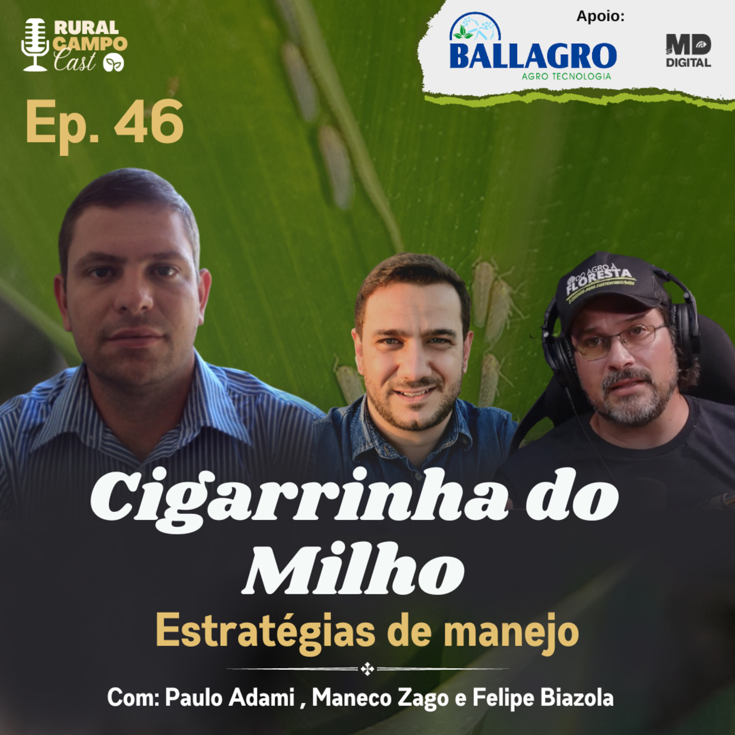 RuralCampoCast 46 / Cigarrinha do Milho - Estratégias de Manejo episode artwork