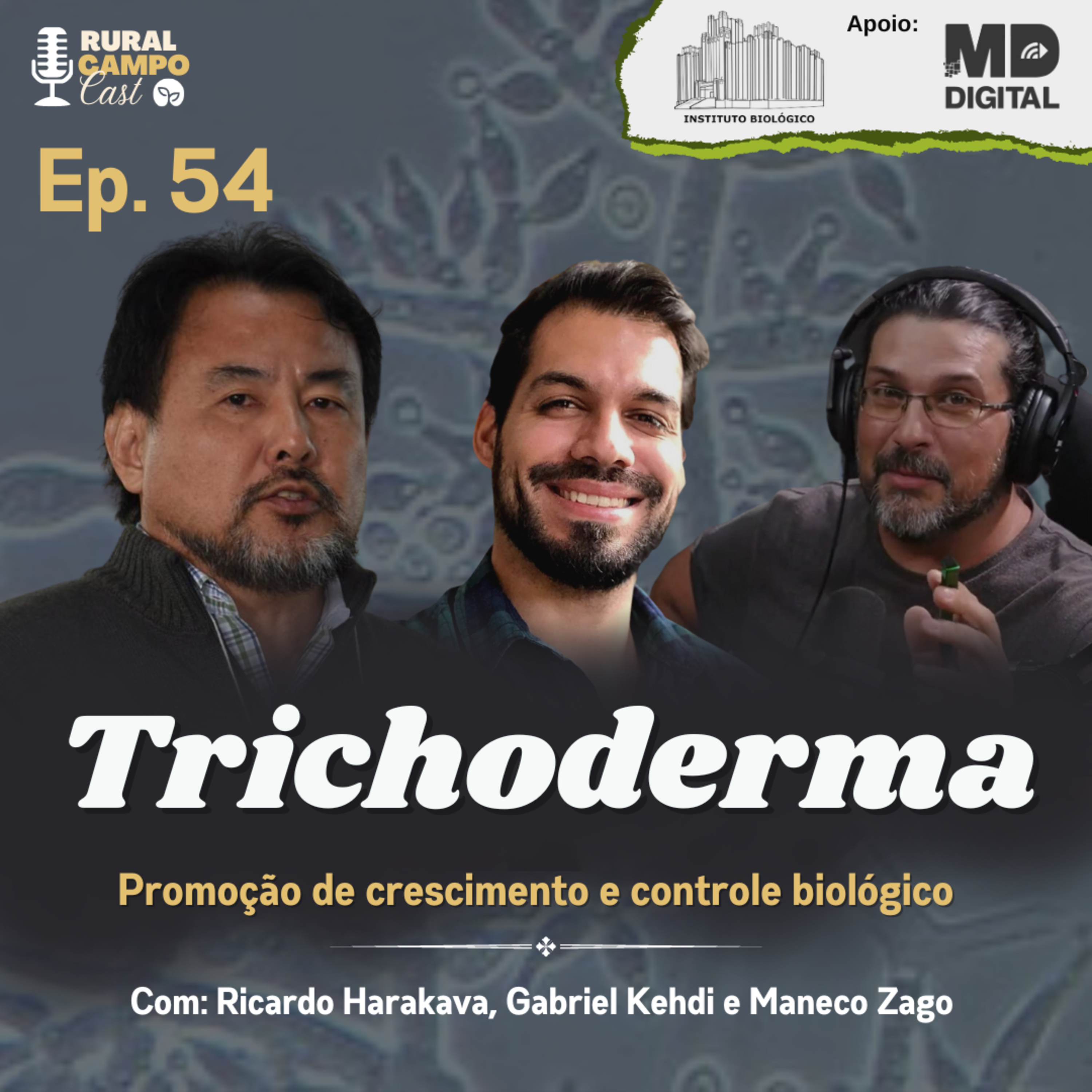 RuralCampoCast