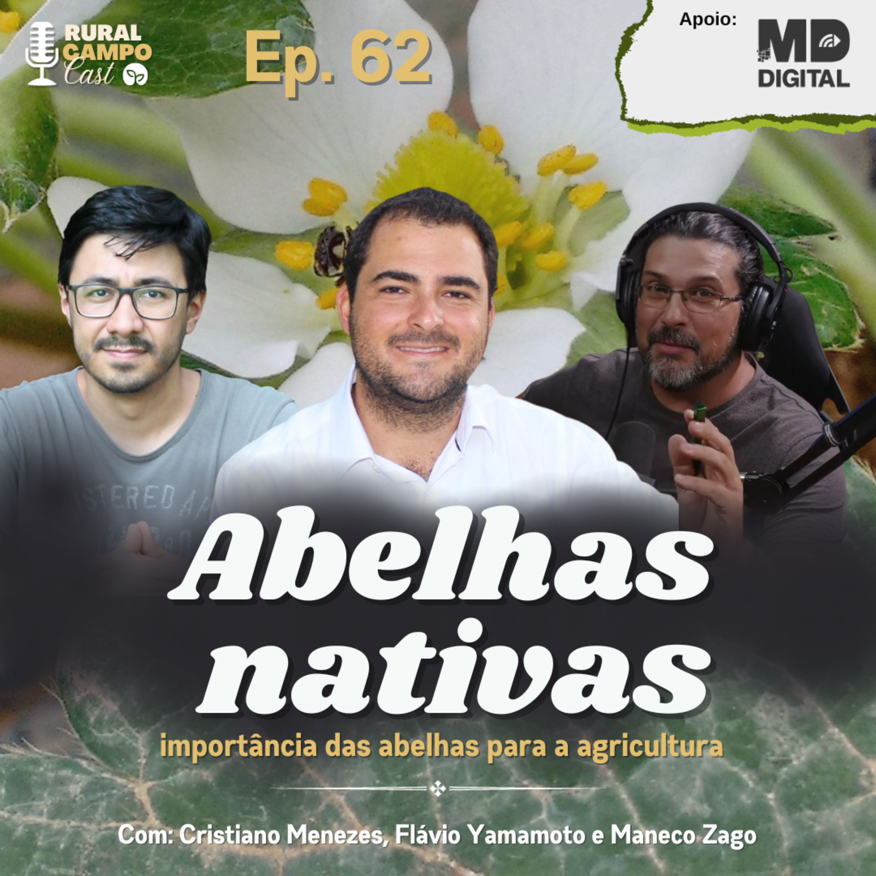 RuralCampoCast 62 / Abelhas nativas - Importância das abelhas para agricultura