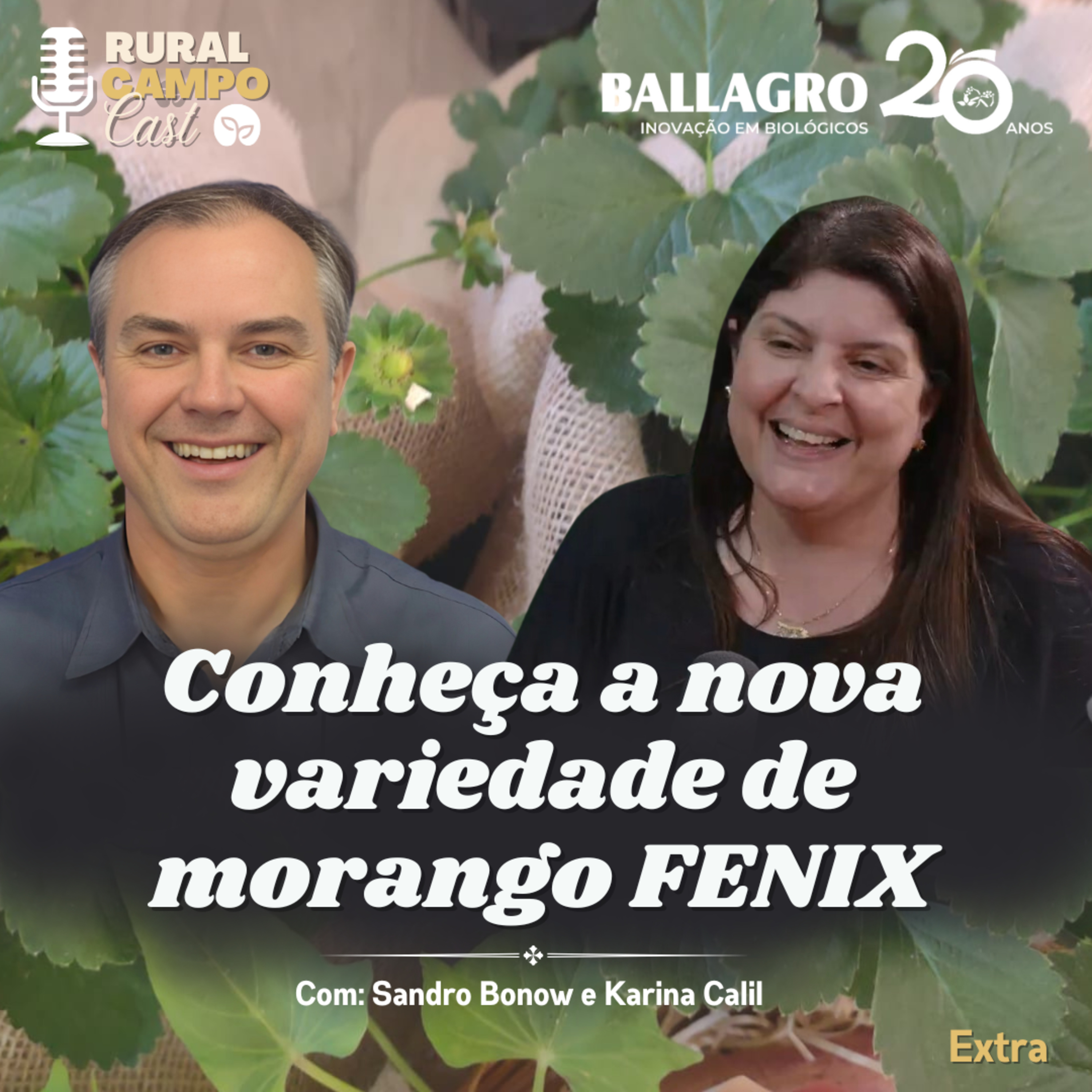RuralCampoCast Extra / Conheça a nova variedade de morango FENIX episode artwork