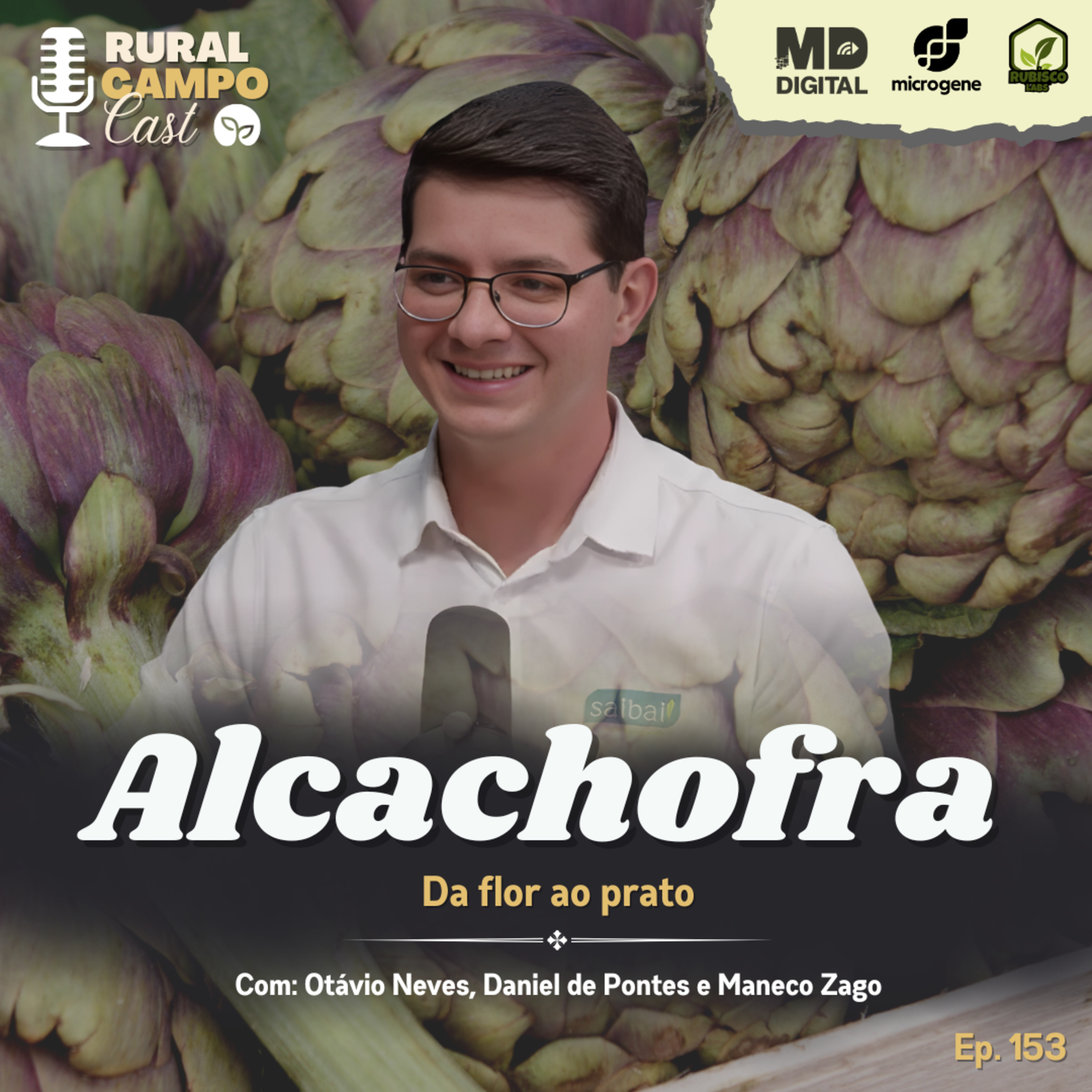 RuralCampoCast 153 / Alcachofra - Da flor ao prato episode artwork