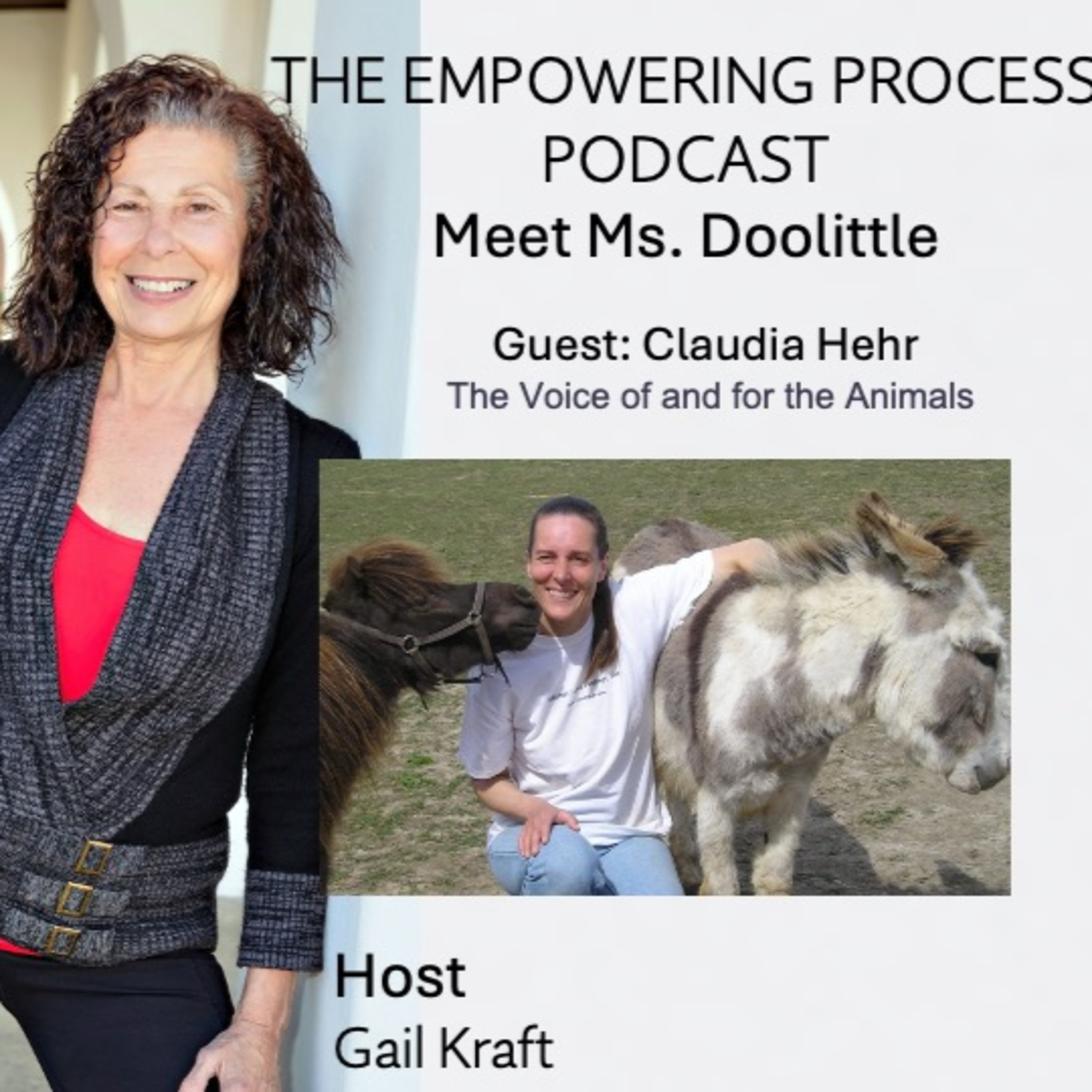 The Empowering Process Podcast With Gail Kraft