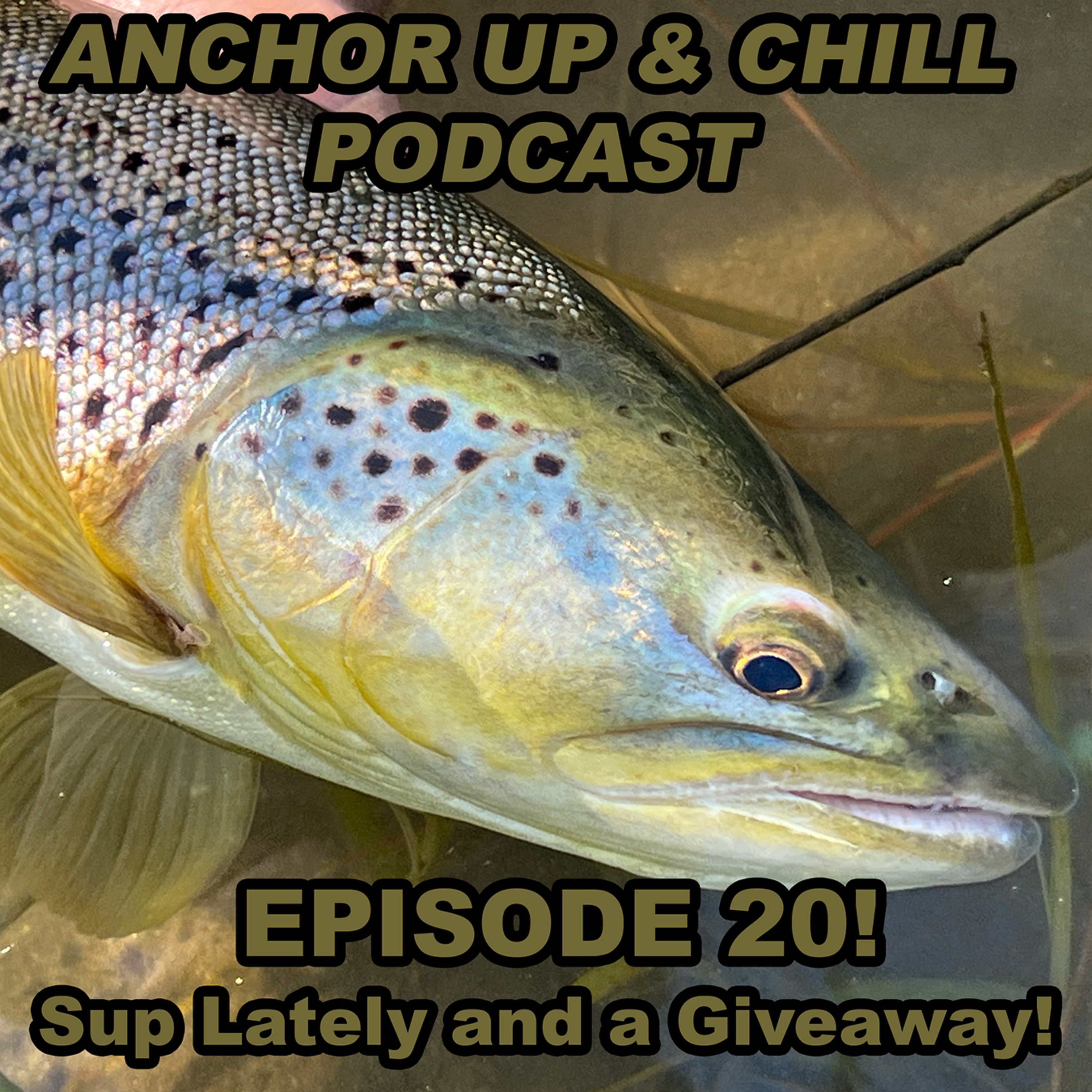 Taco Fly Co. - Anchor Up and Chill Podcast