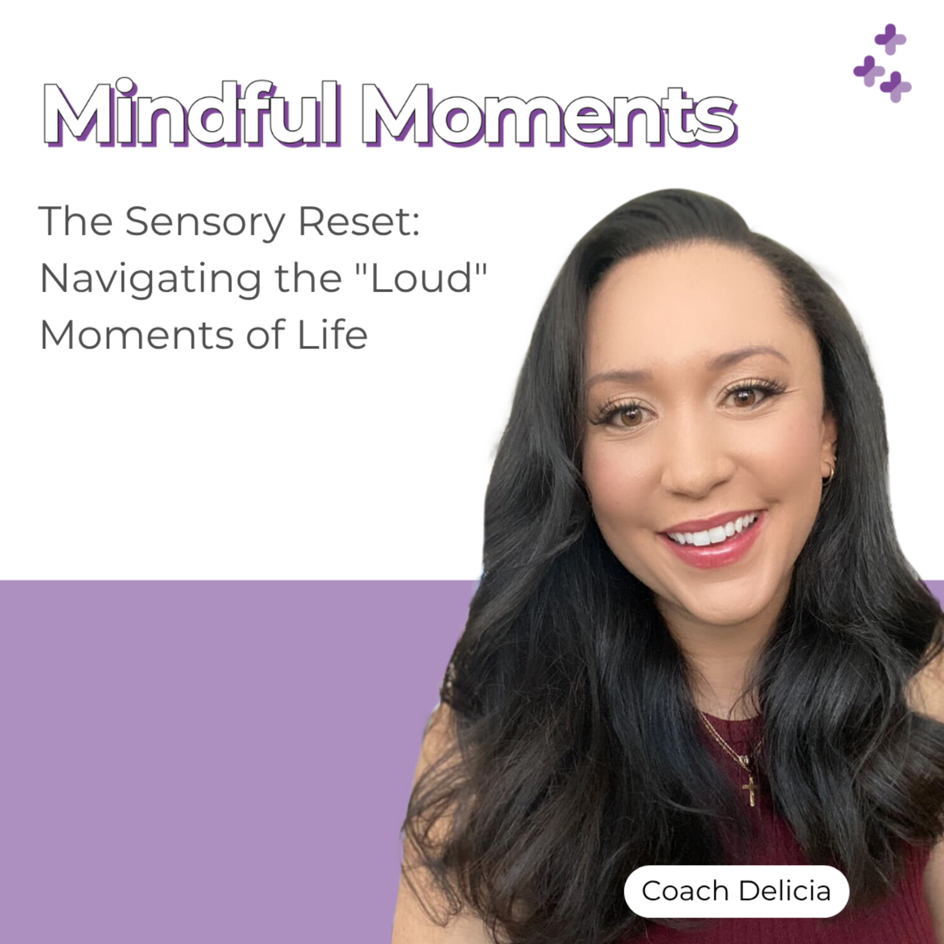 Mindful Moments #43 - The Sensory Reset: Navigating the "Loud" Moments of Life episode artwork
