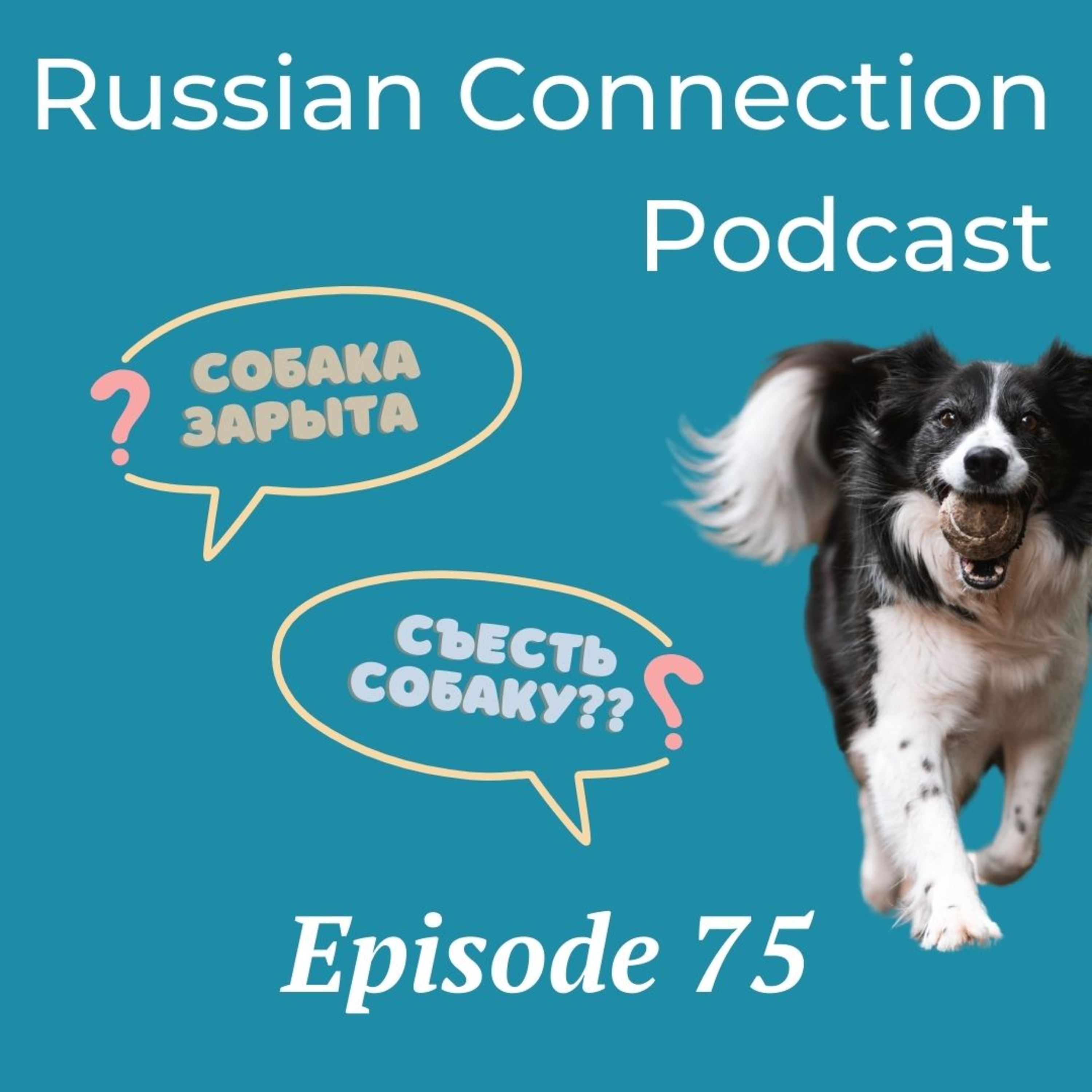 Выпуск 75 - Выражения со словом "Собака" / Expressions with the word DOG