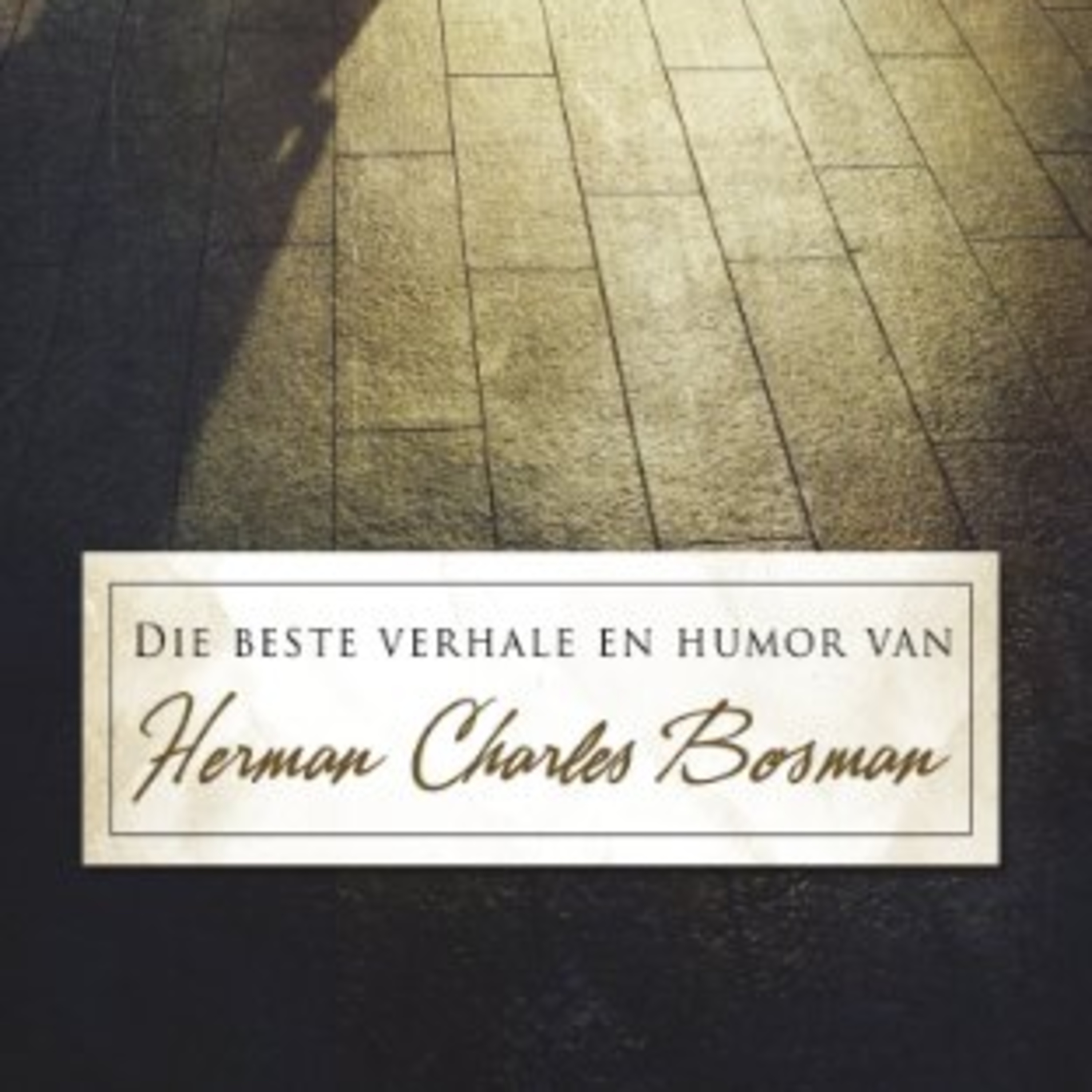 Slaapstories Vir Grootmense