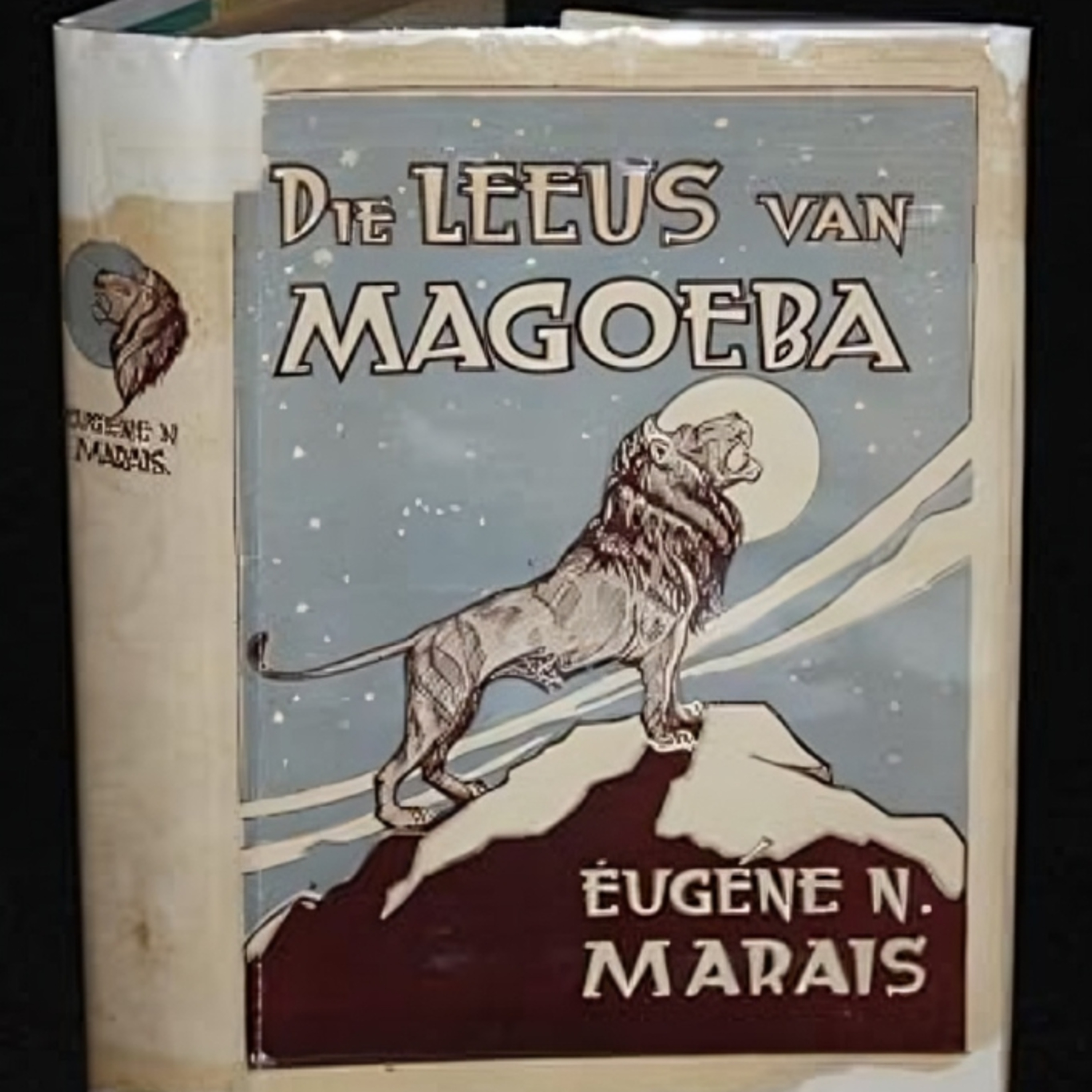 Slaapstories Vir Grootmense