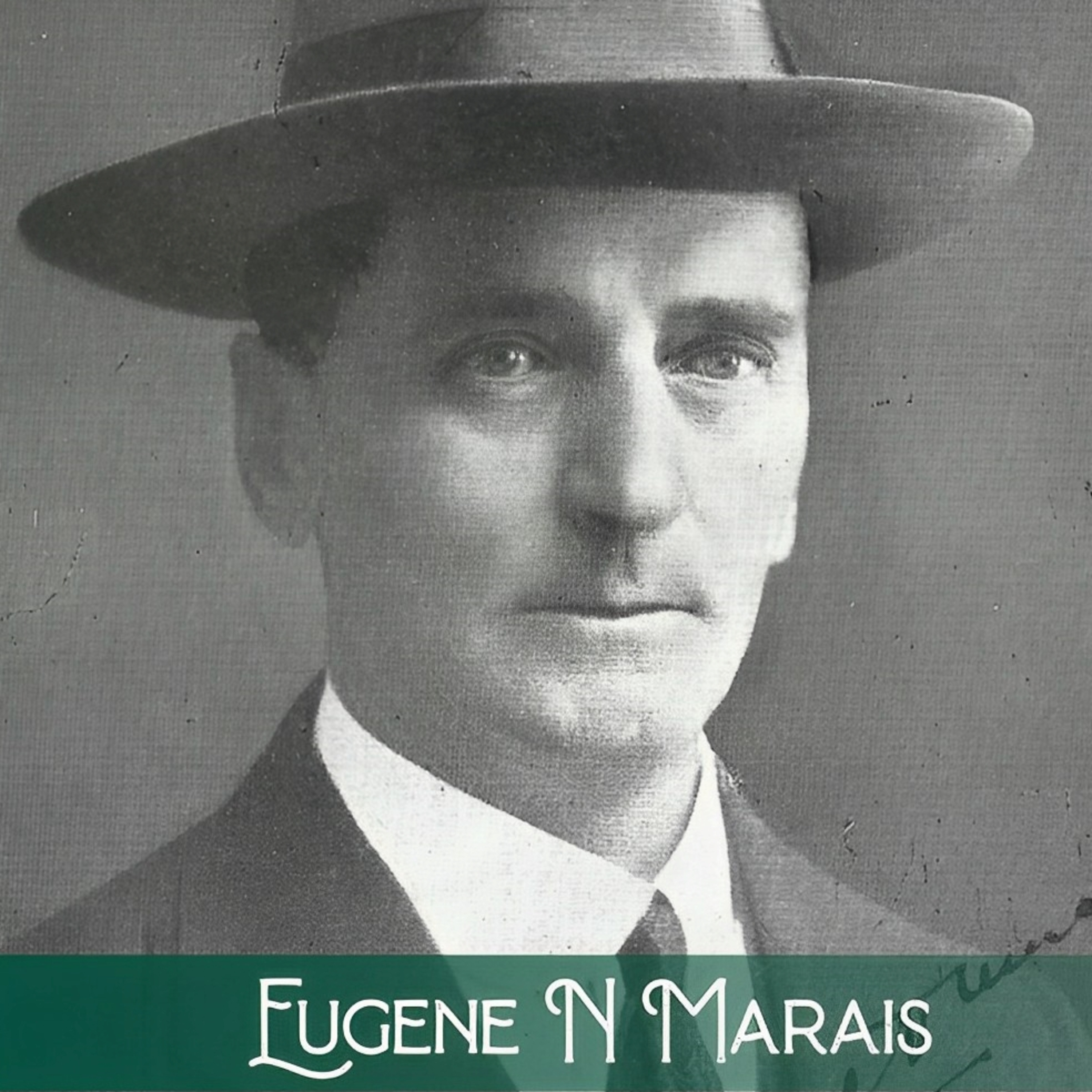 12 Stories van Eugene N. Marais