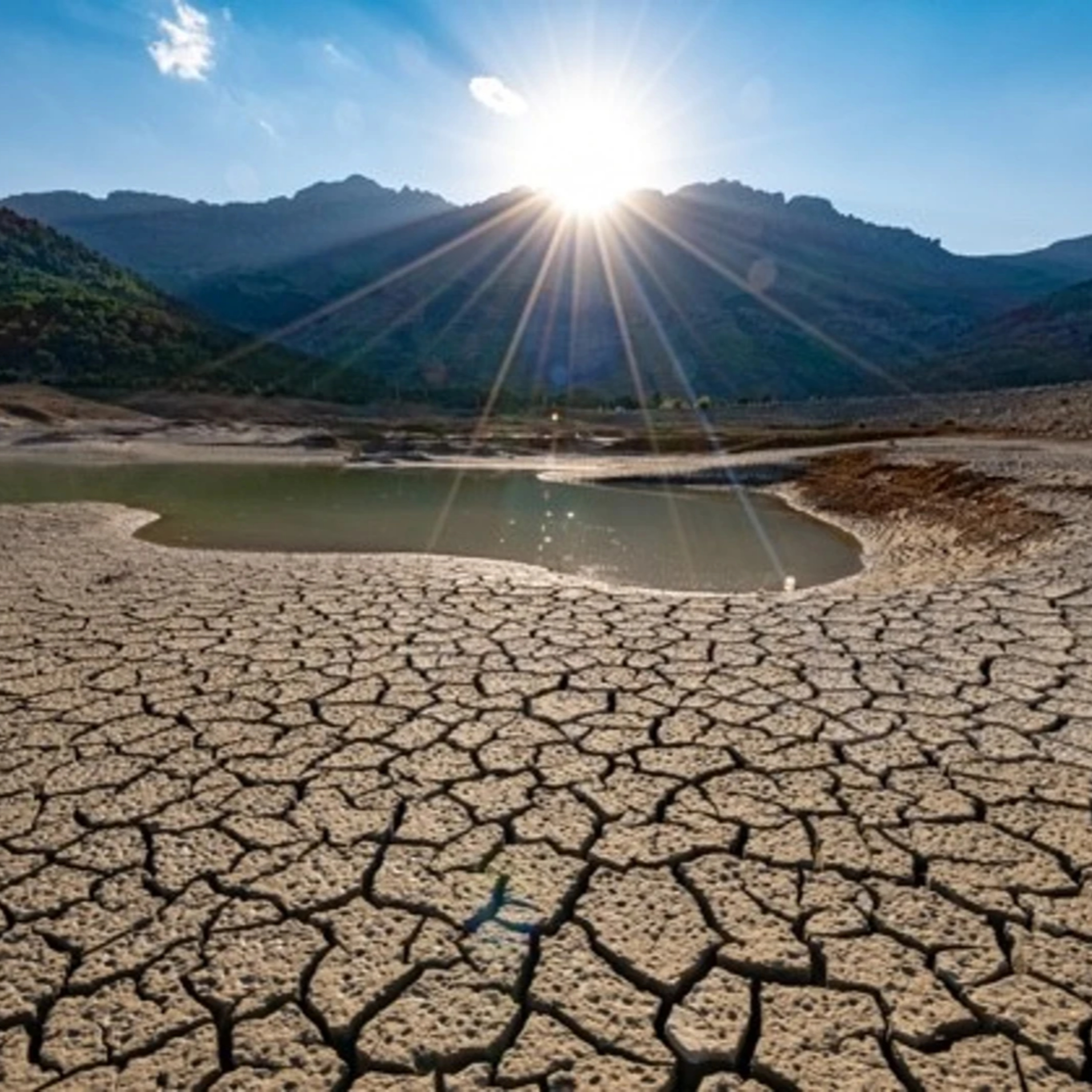 Buenas Prácticas Agrícolas