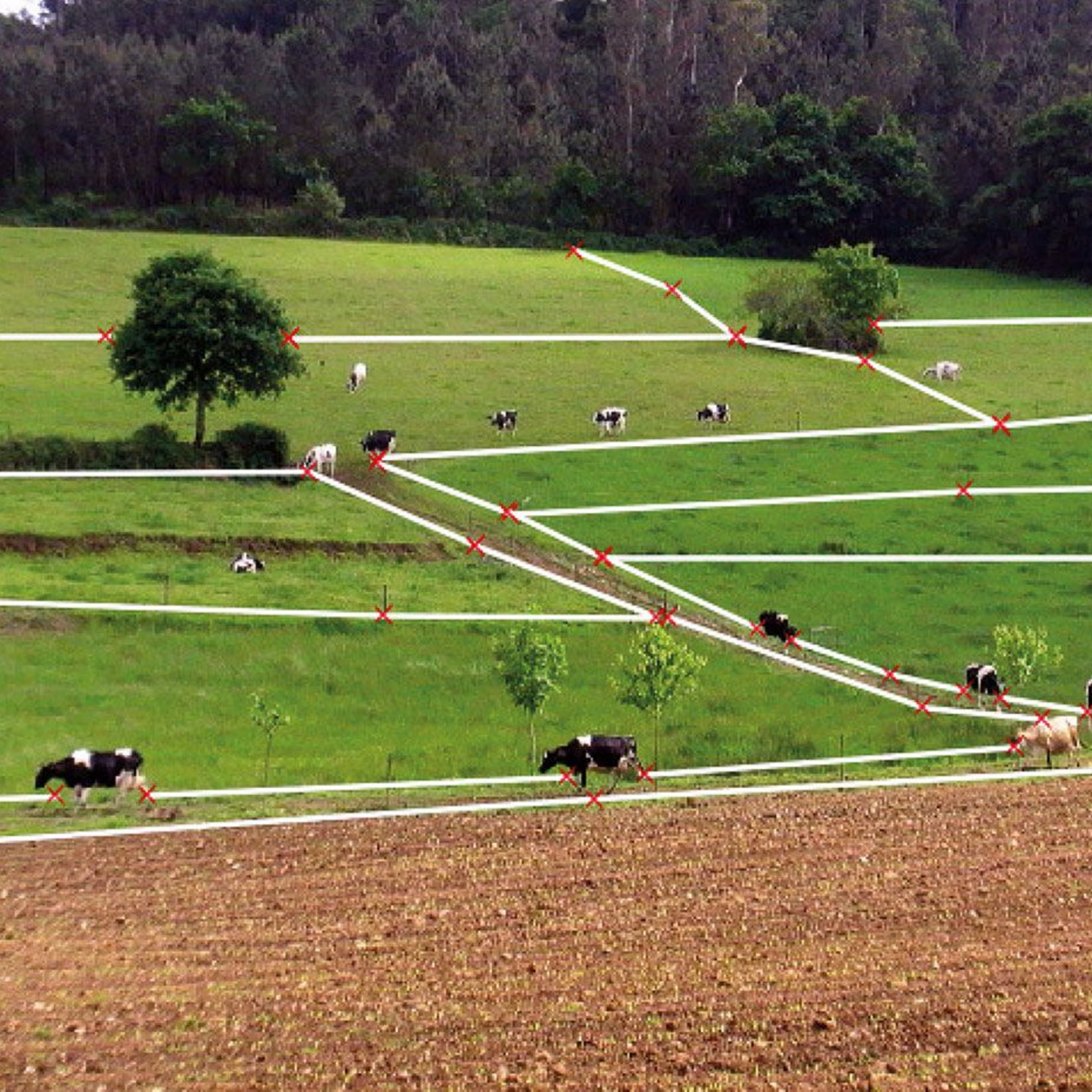 Buenas Prácticas Agrícolas