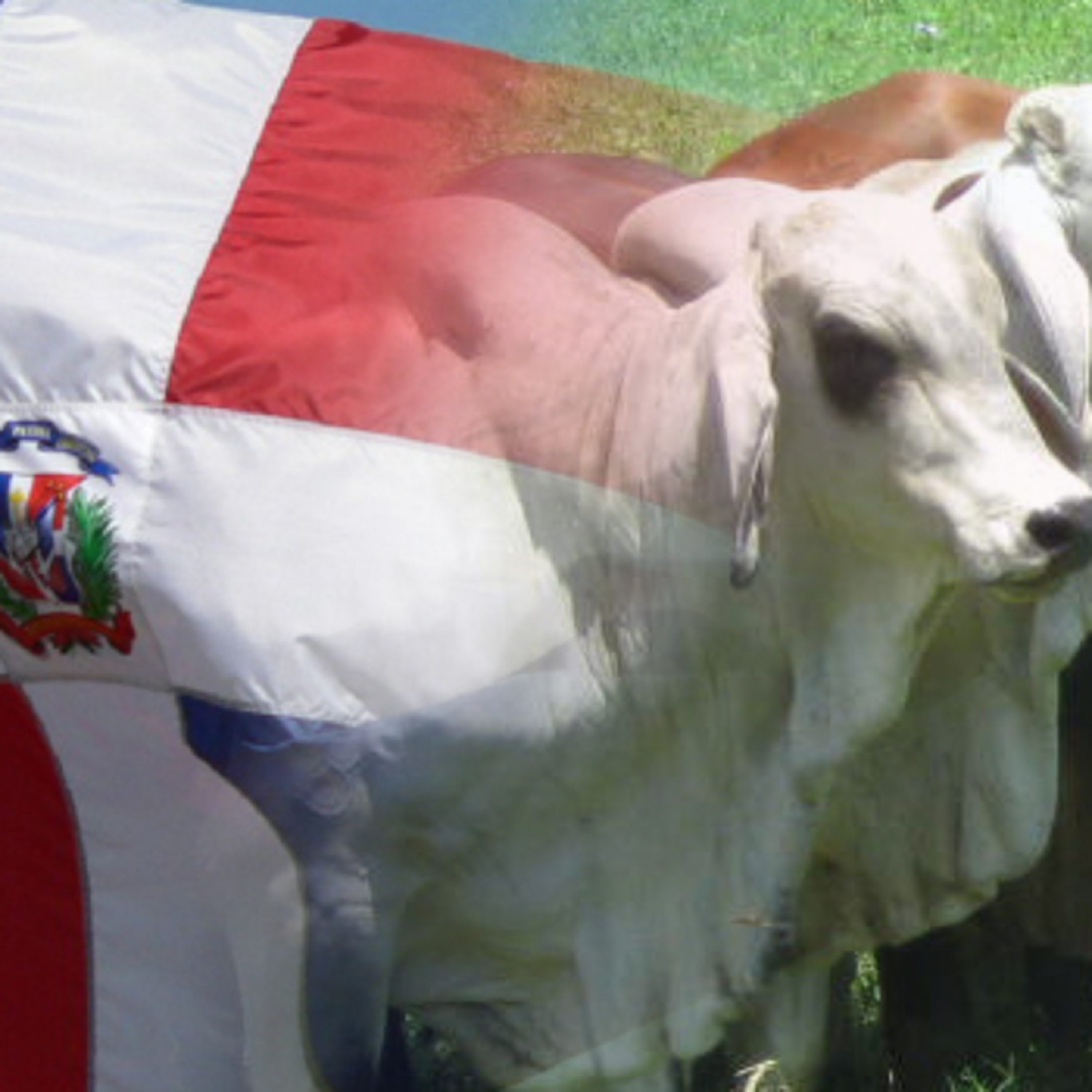 Buenas Prácticas Agrícolas