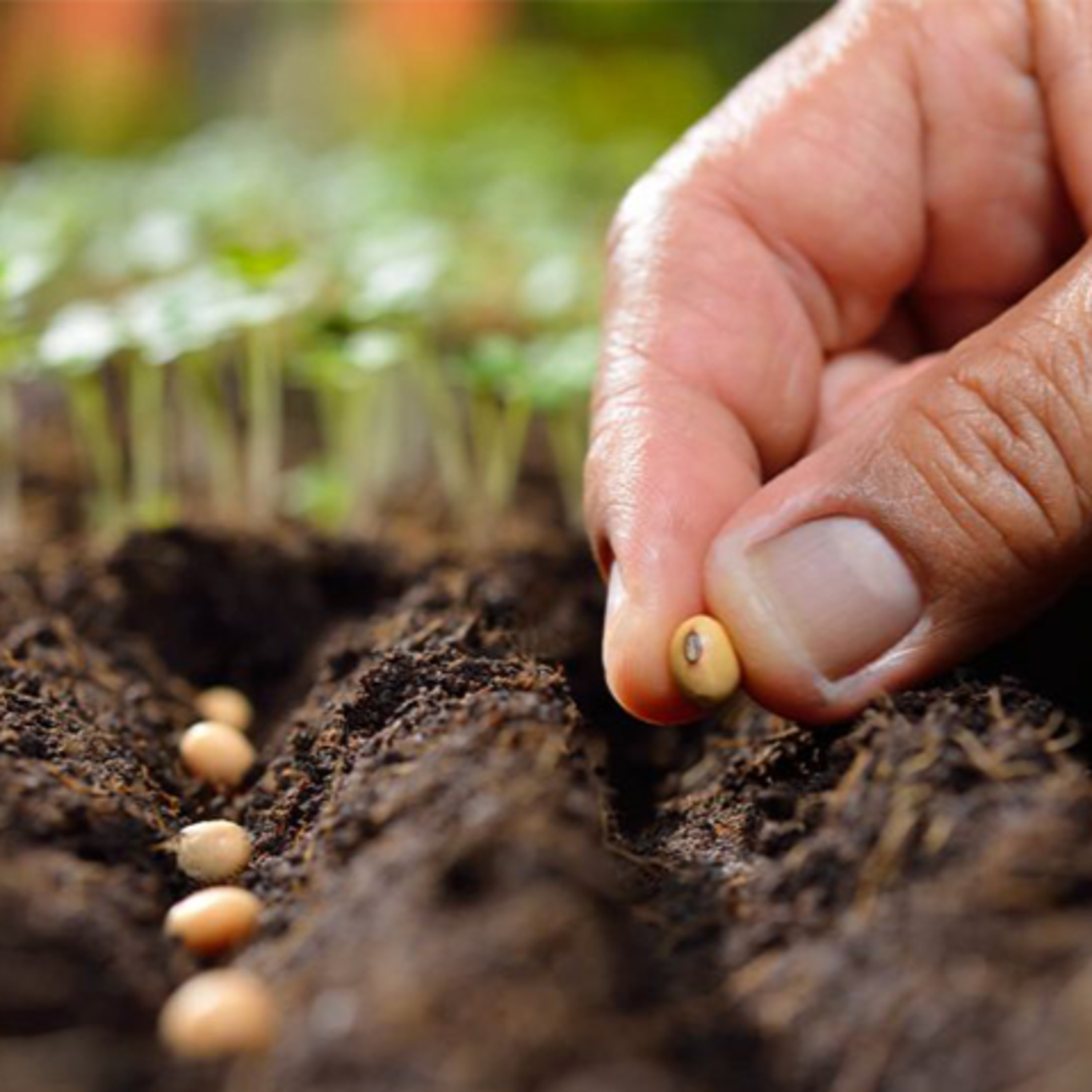 Buenas Prácticas Agrícolas
