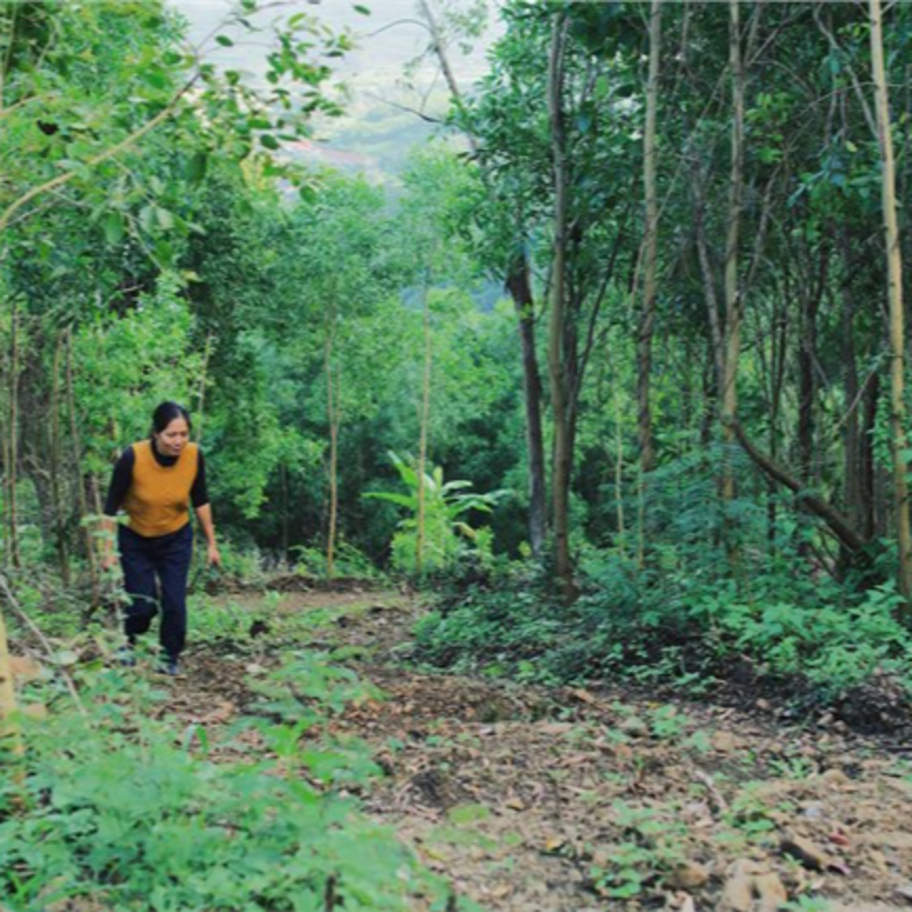 VOV - KHCN và Môi trường