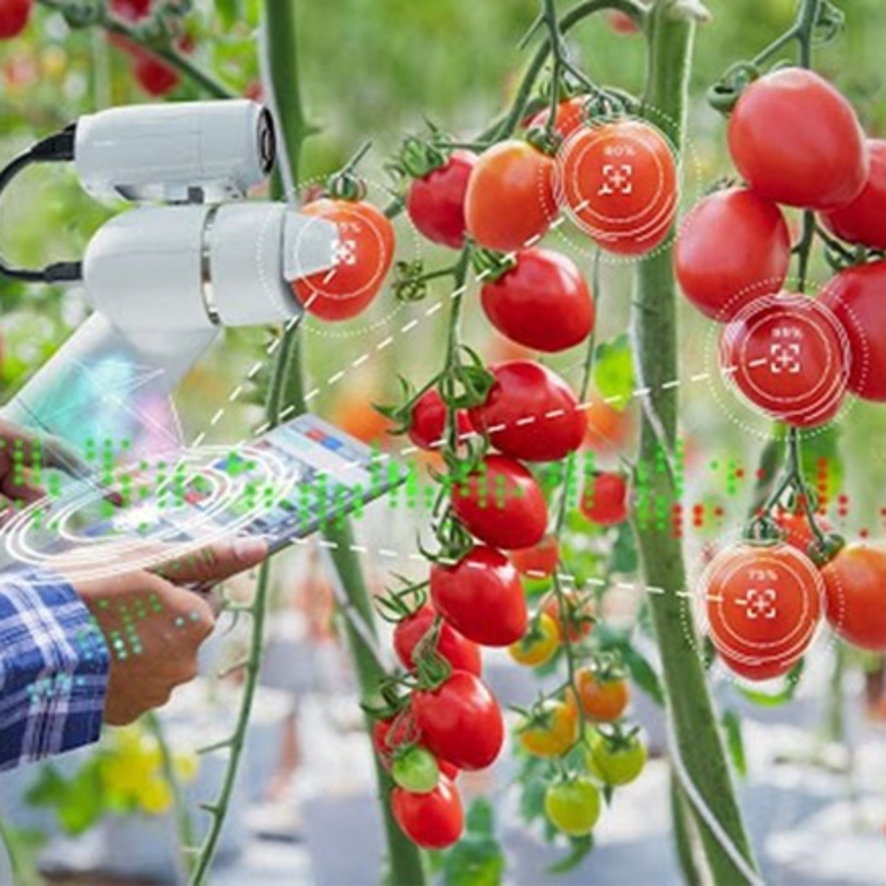 Kết nối công nghệ - Ứng dụng trí tuệ nhân tạo giúp cảnh báo và dự báo điều kiện môi trường trong sản xuất nông nghiệp episode artwork