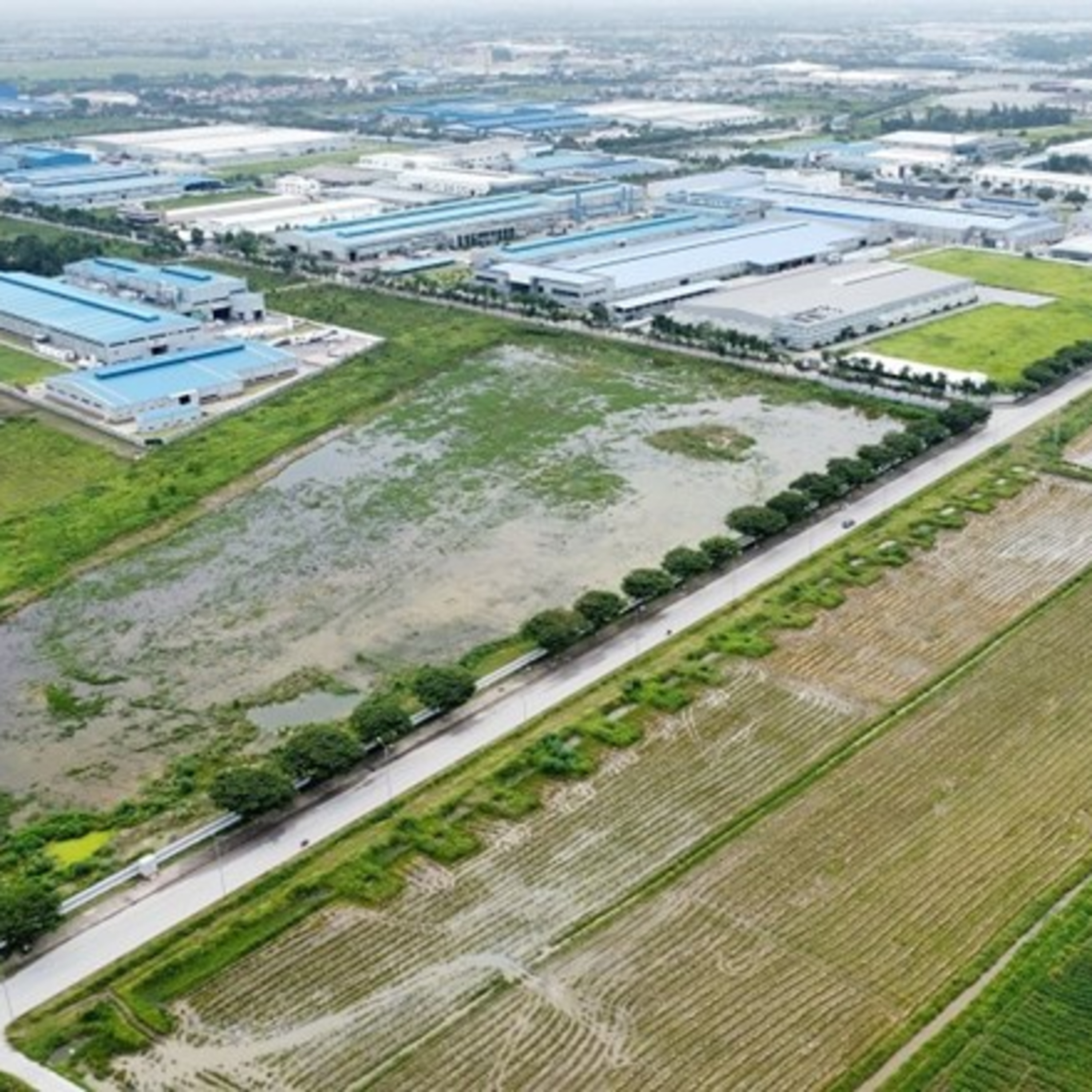 Tài nguyên môi trường - Hải Dương: Sẽ cưỡng chế thu hồi đất nếu người dân không bàn giao mặt bằng KCN Đại An mở rộng episode artwork
