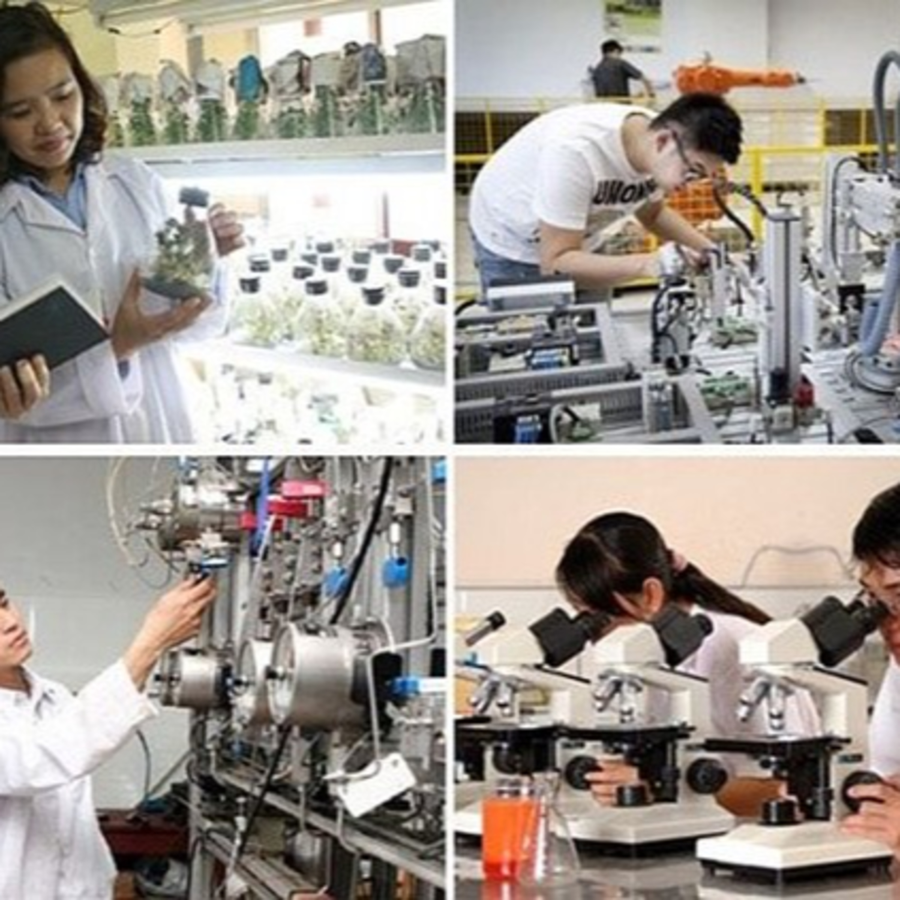 Kết nối công nghệ - Phát triển khoa học công nghệ và đổi mới sáng tạo cần cách tiếp cận khác episode artwork