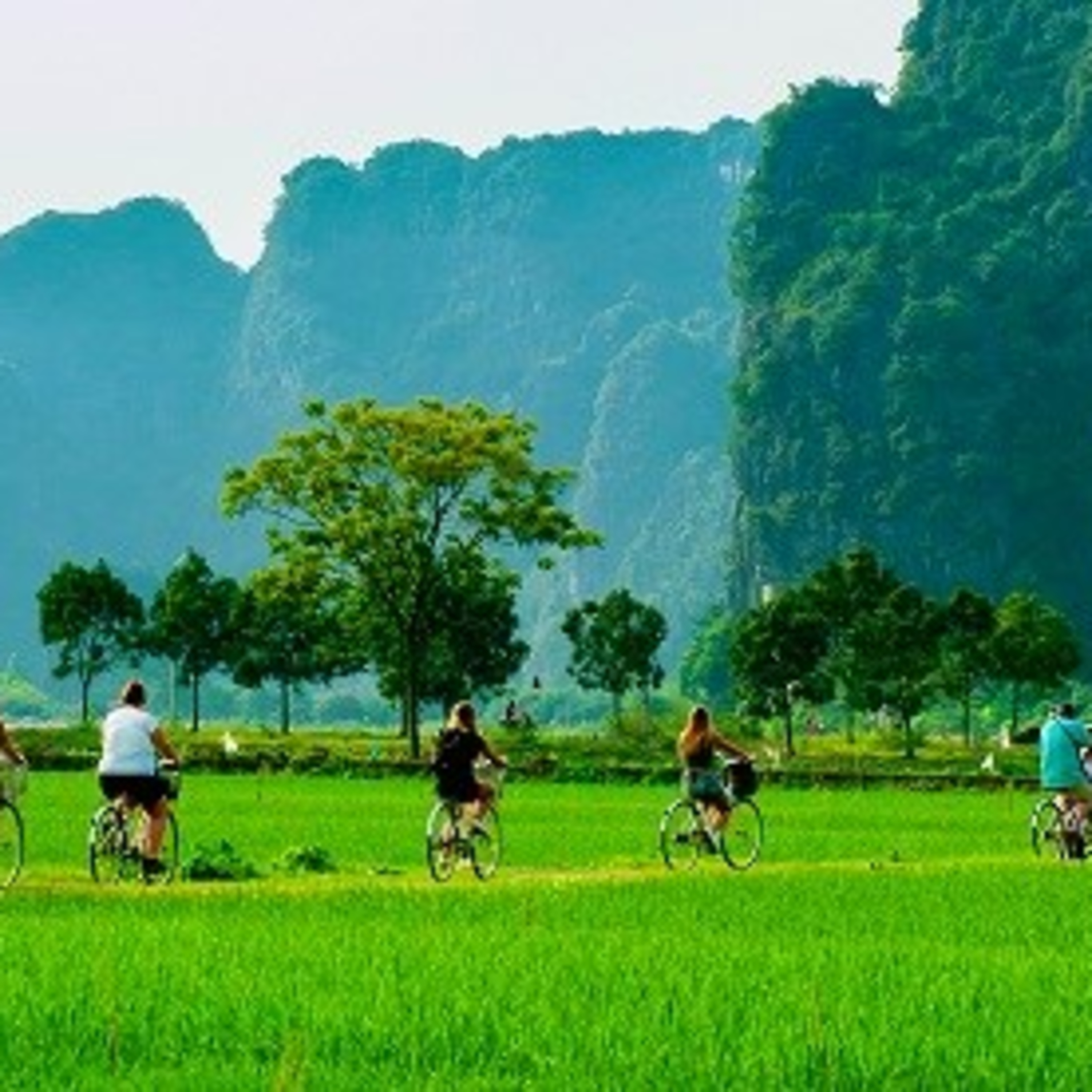 Chuyển đổi xanh - Du lịch xanh thúc đẩy tăng trưởng xanh episode artwork