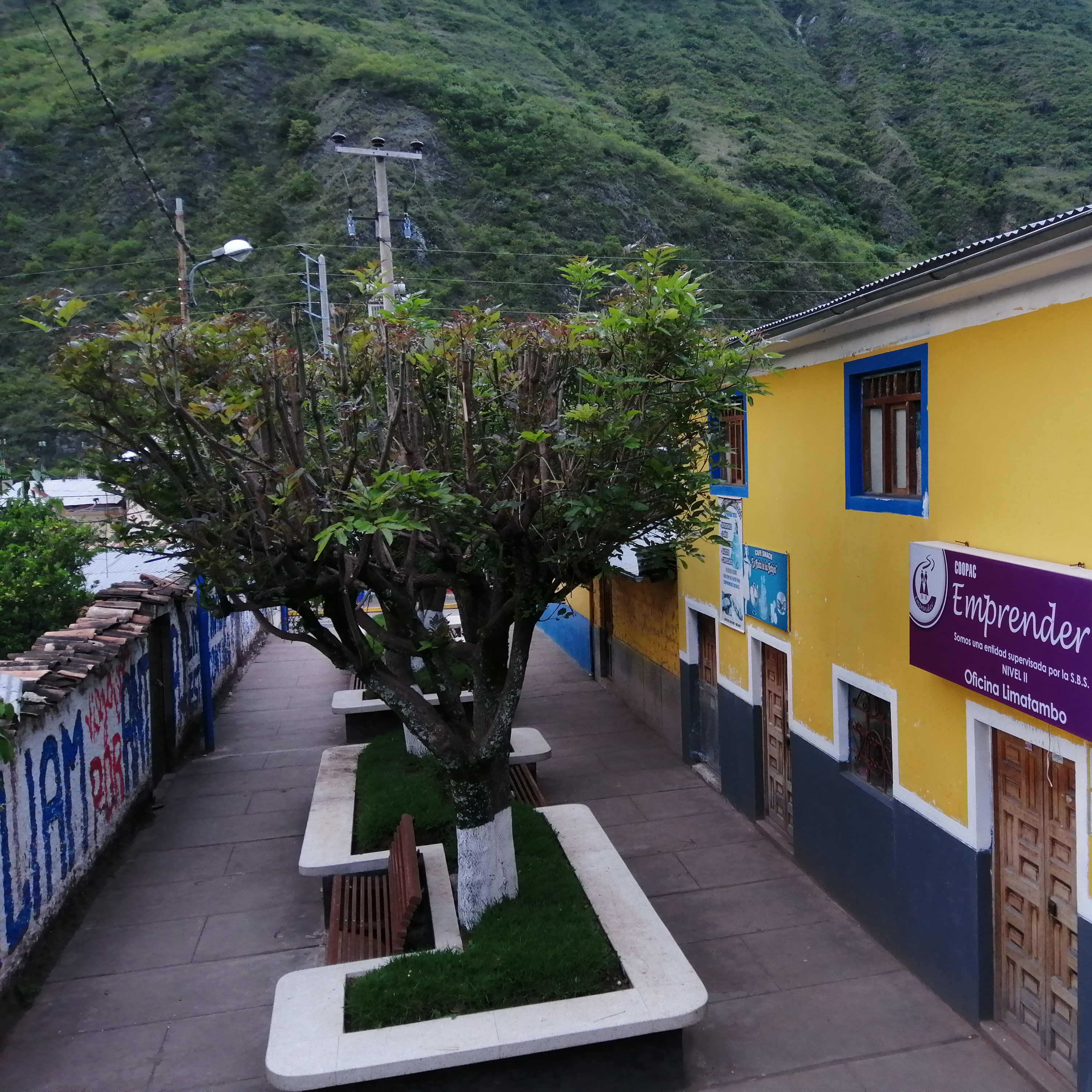 📻 Debate de candidatos año 2018 para alcalde la municipalidad distrital de Limatambo - Cusco episode artwork