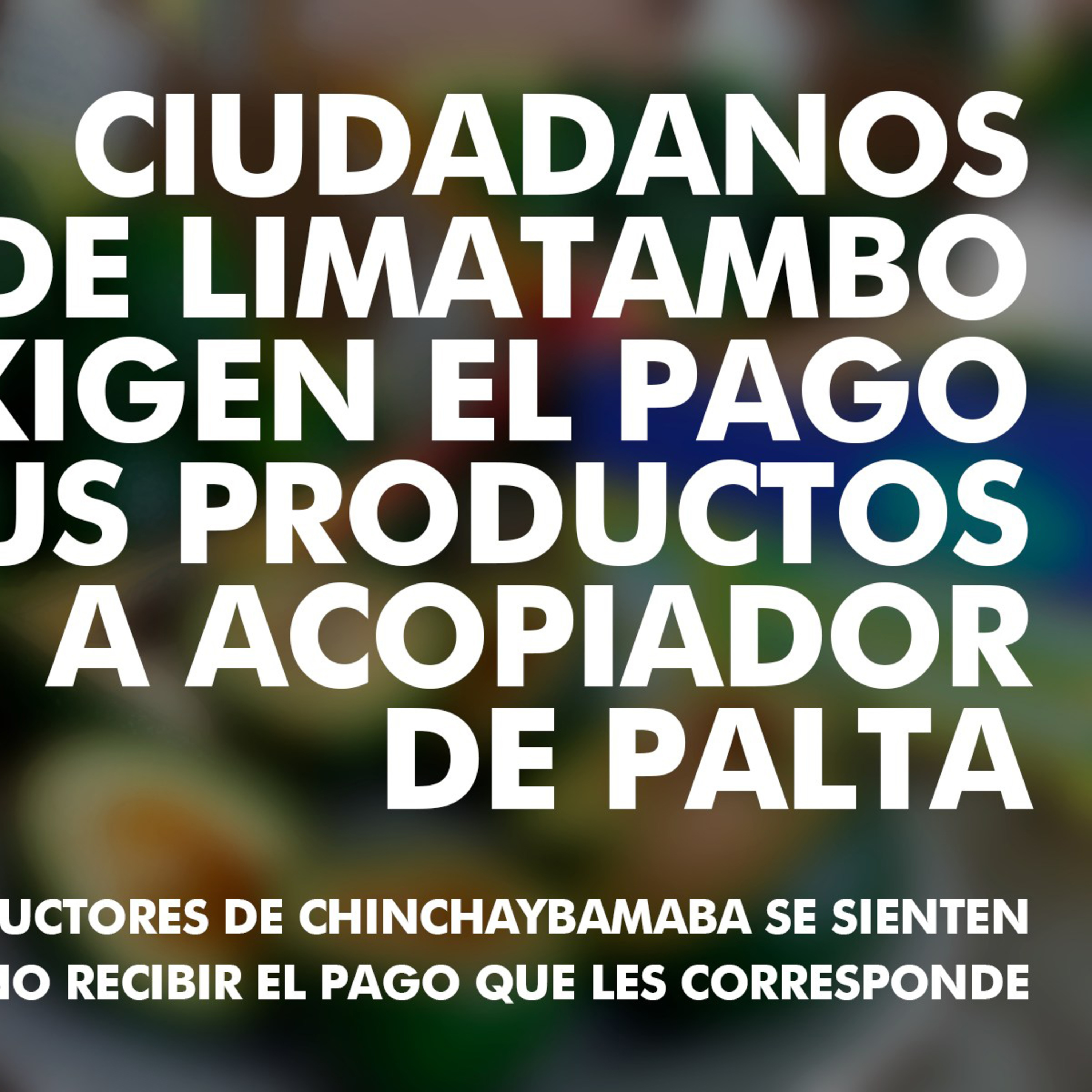 🥑📻😡 Radio en vivo - productores de palta de Chinchaybamba, indican que acopiador no les paga por su producto episode artwork