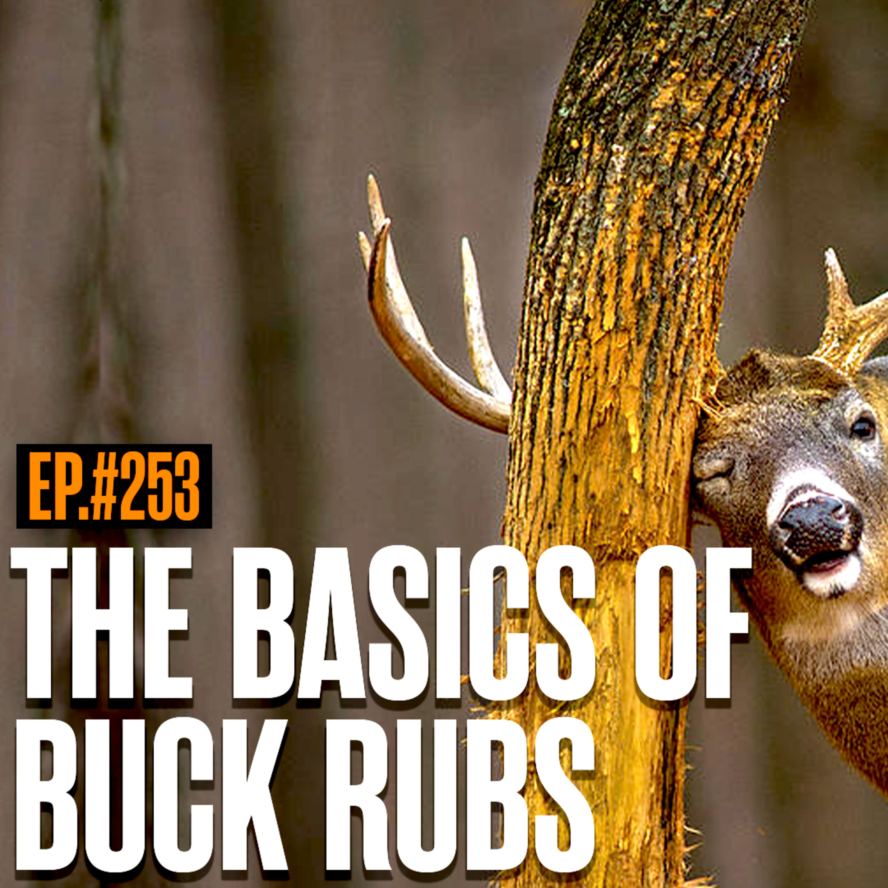 Hunters Advantage Podcast