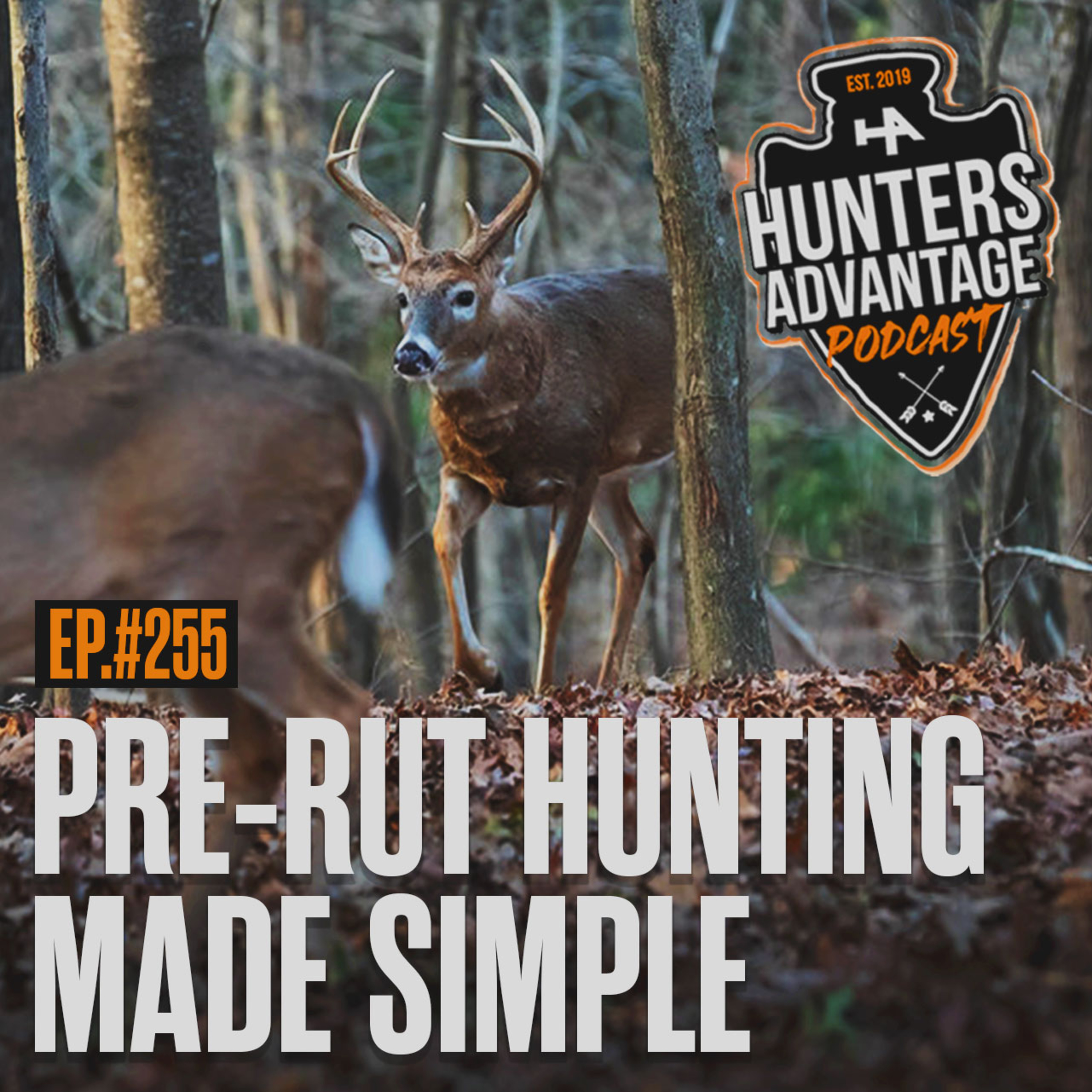 255. The Basics of Pre-Rut Hunting | Why It’s the BEST Time to Bow Hunt