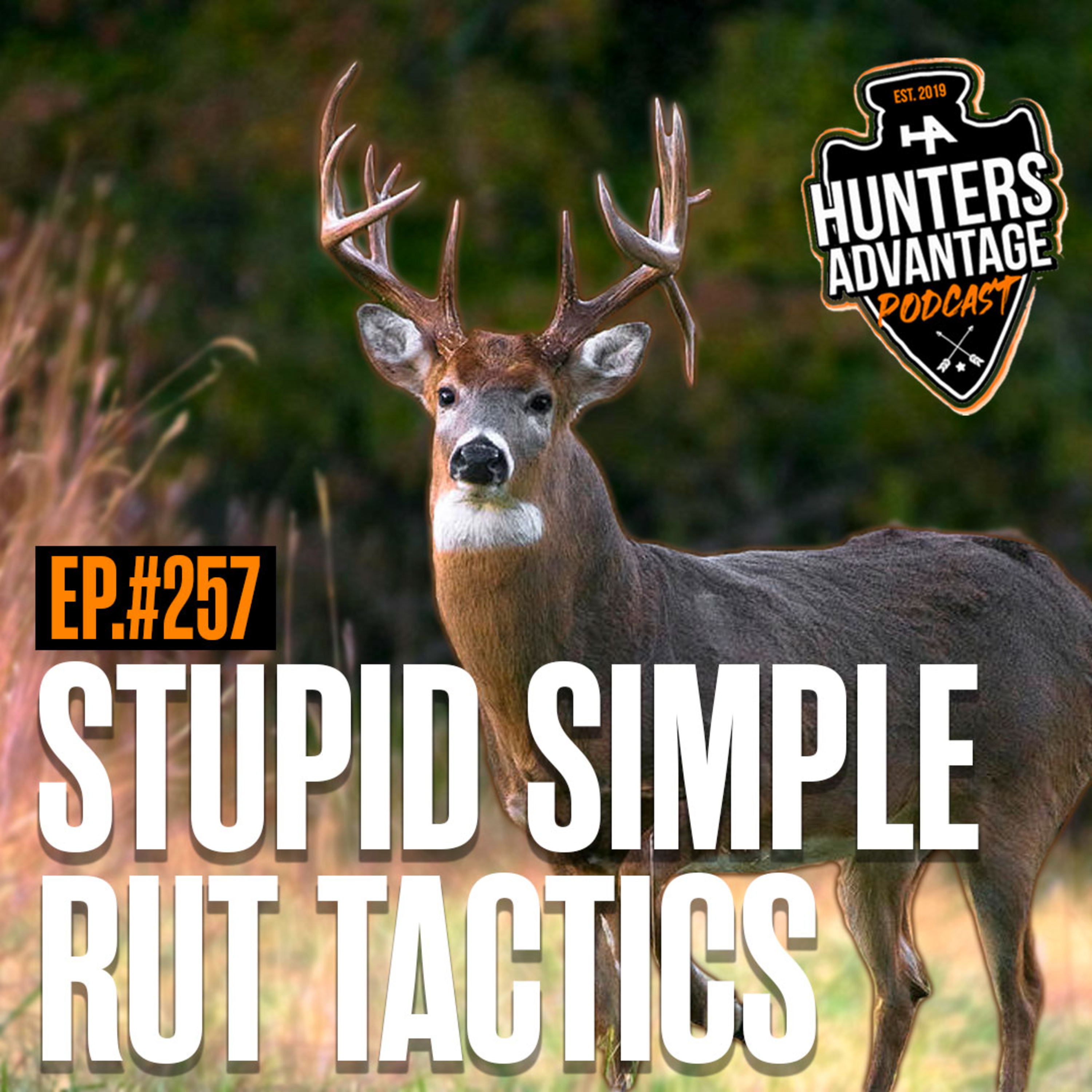 257. INSANELY Simple Rut Hunting Tactics for Killing Bucks this NOVEMBER | The Basics of Rut Hunting