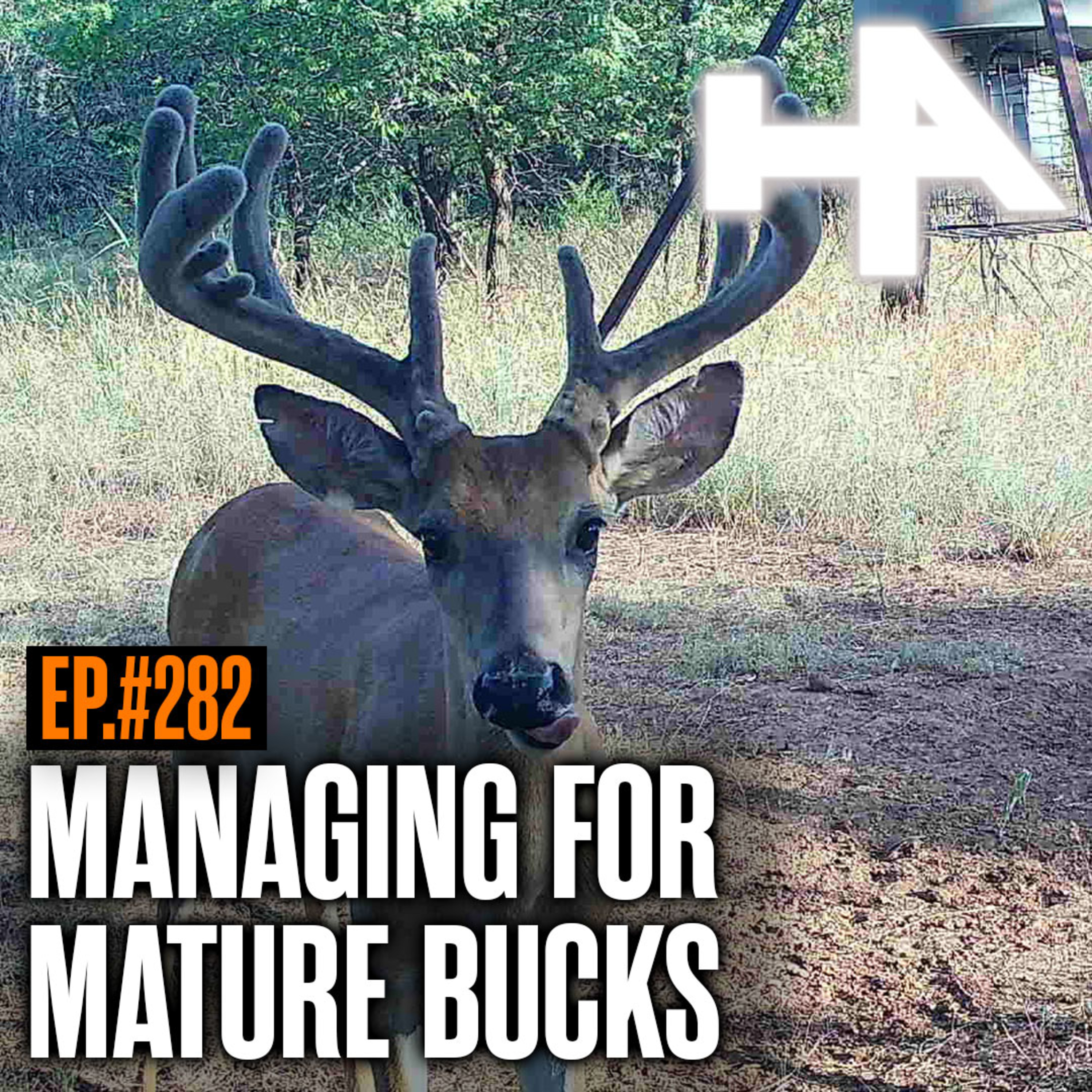 282. Managing Our Oklahoma Lease for Mature Whitetails
