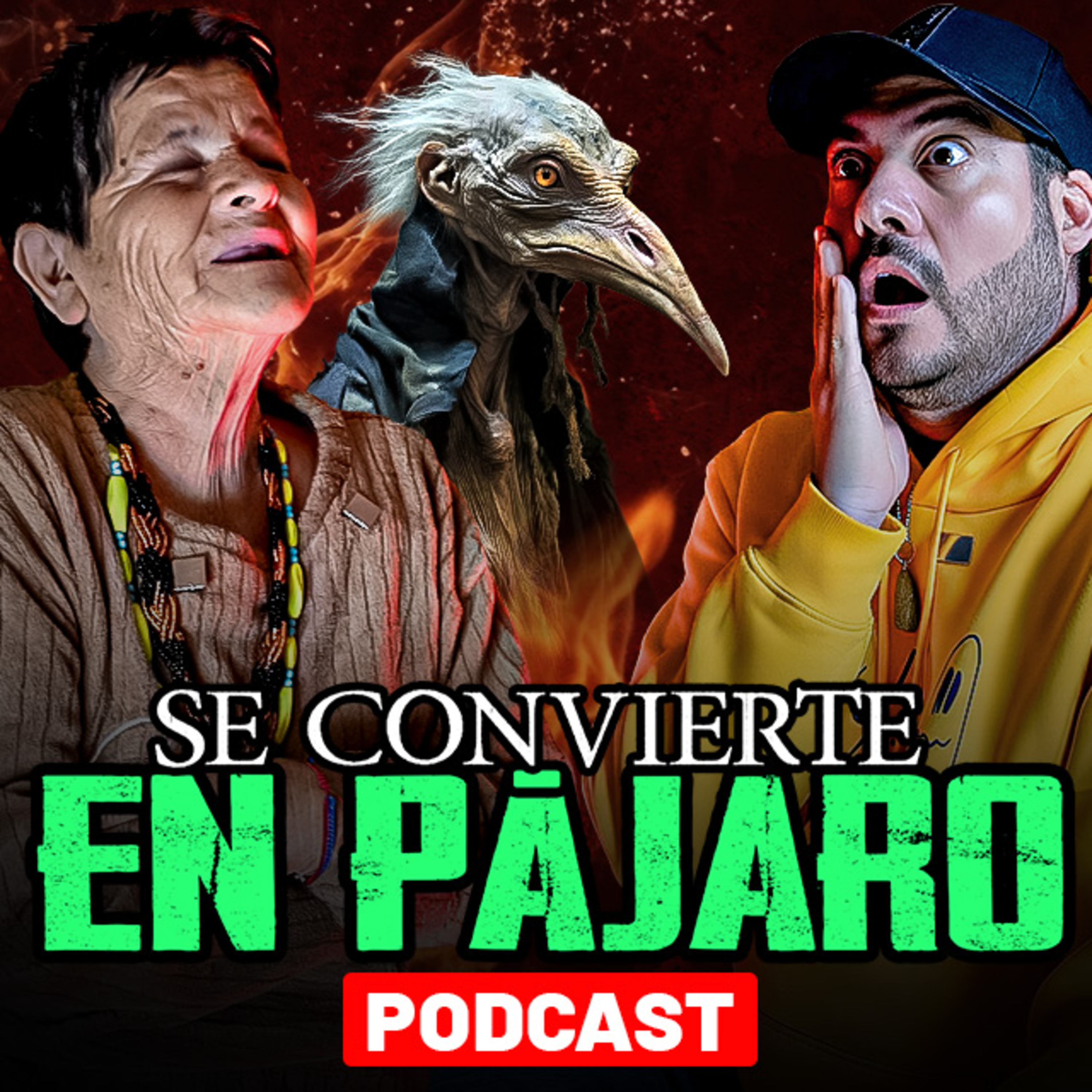 Conocí a la poderosa bruja de la Biznaga. Se convierte en ave! episode artwork