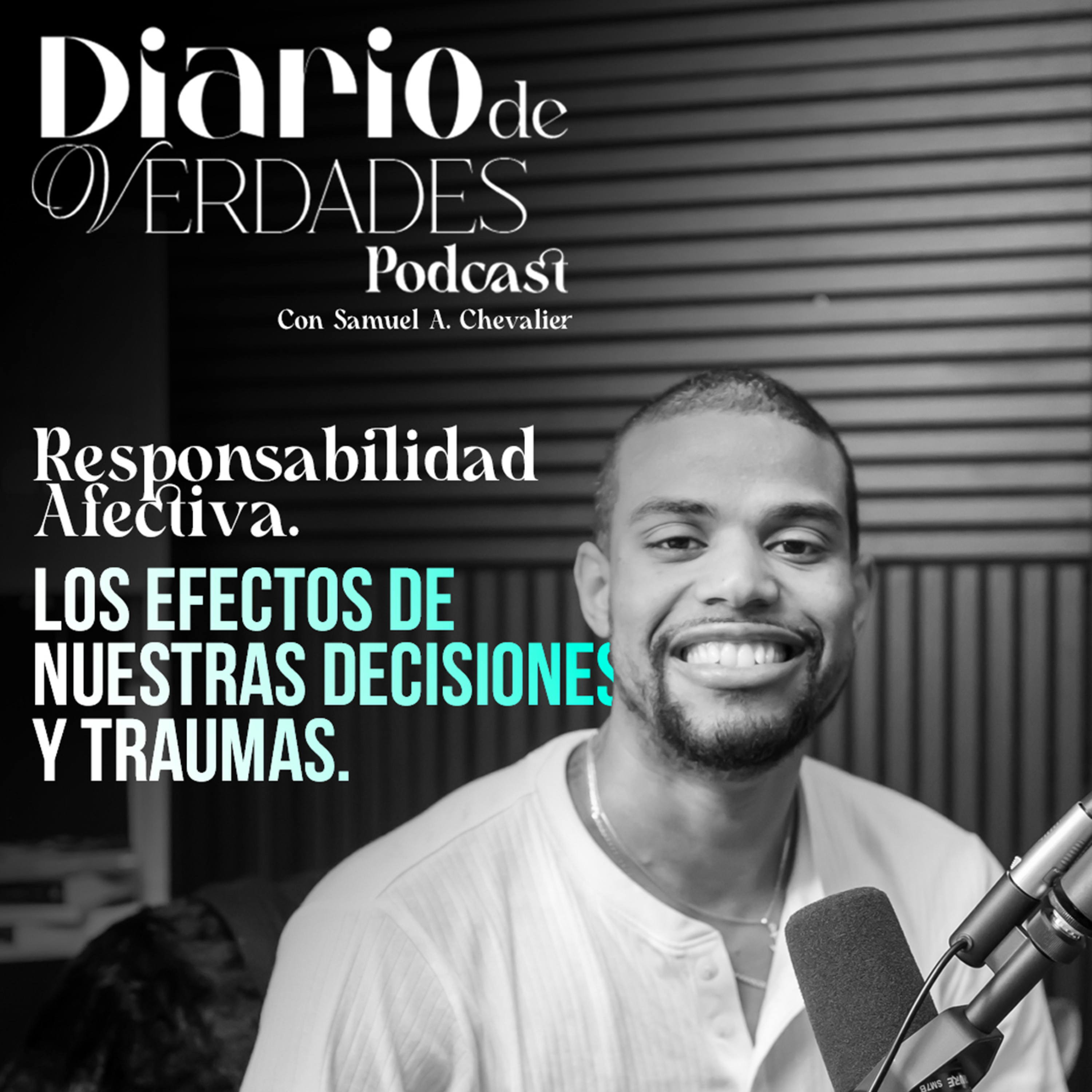 La responsabilidad afectiva episode artwork