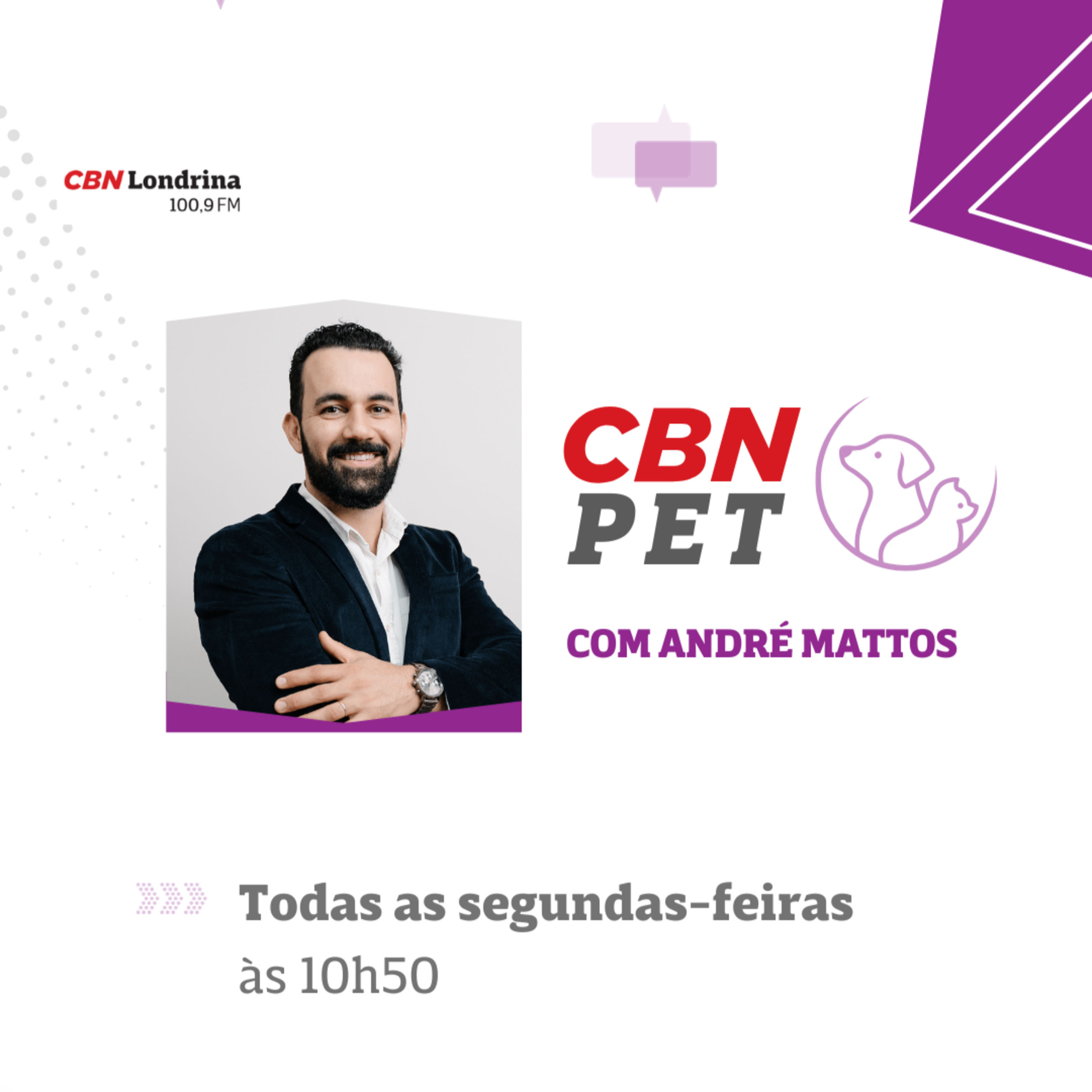 Como organizar a rotina do seu pet e evitar o estresse