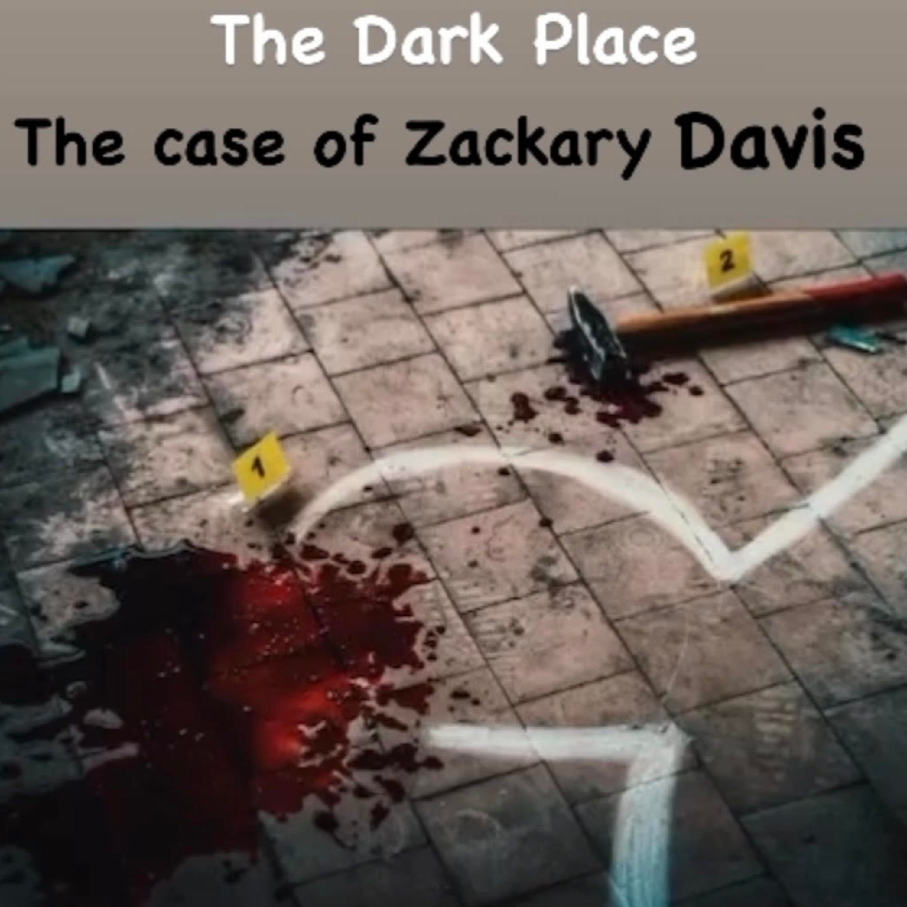 The Dark Place - the Case of Zackary Davis episode artwork