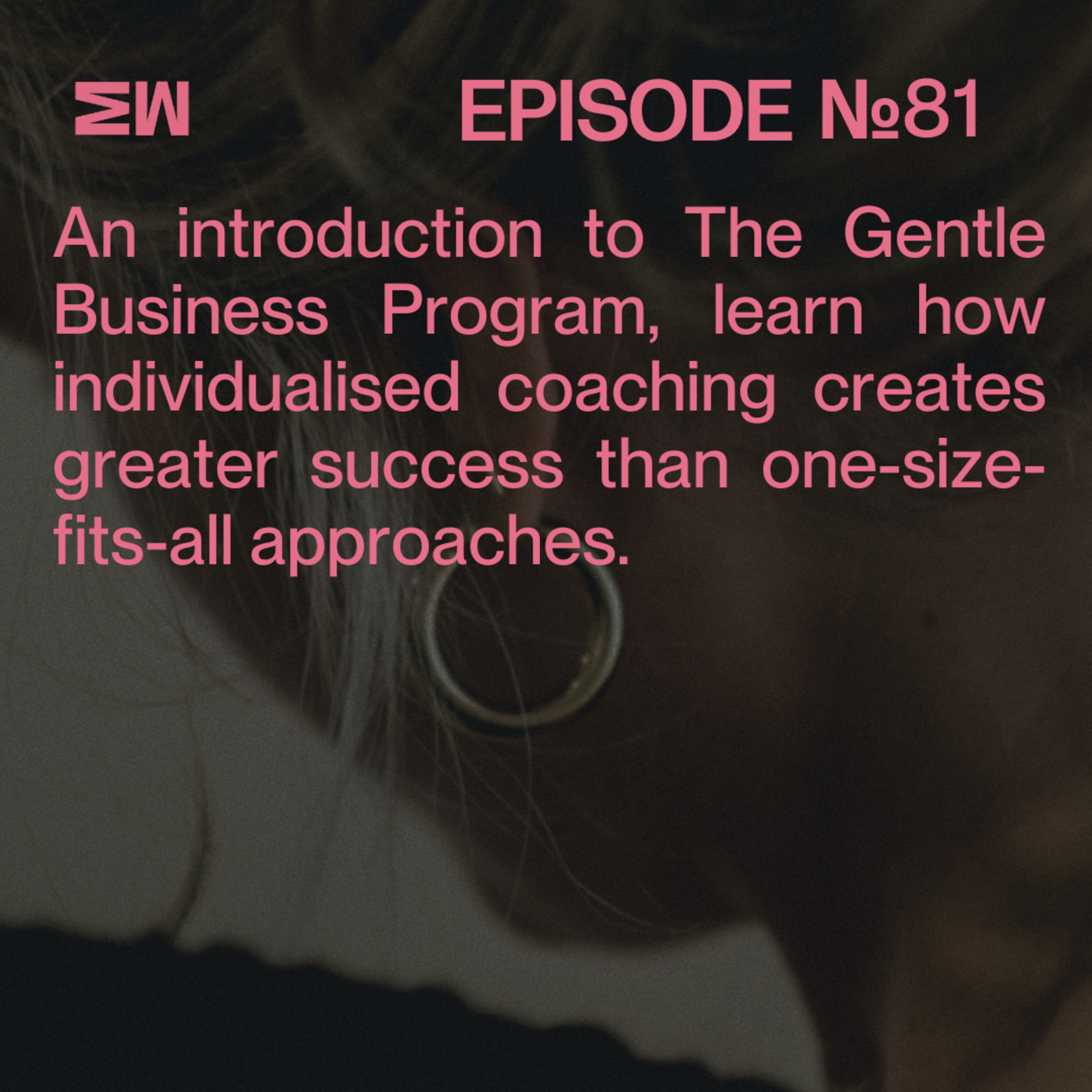 81. What do I actually get in the Gentle Business Program?