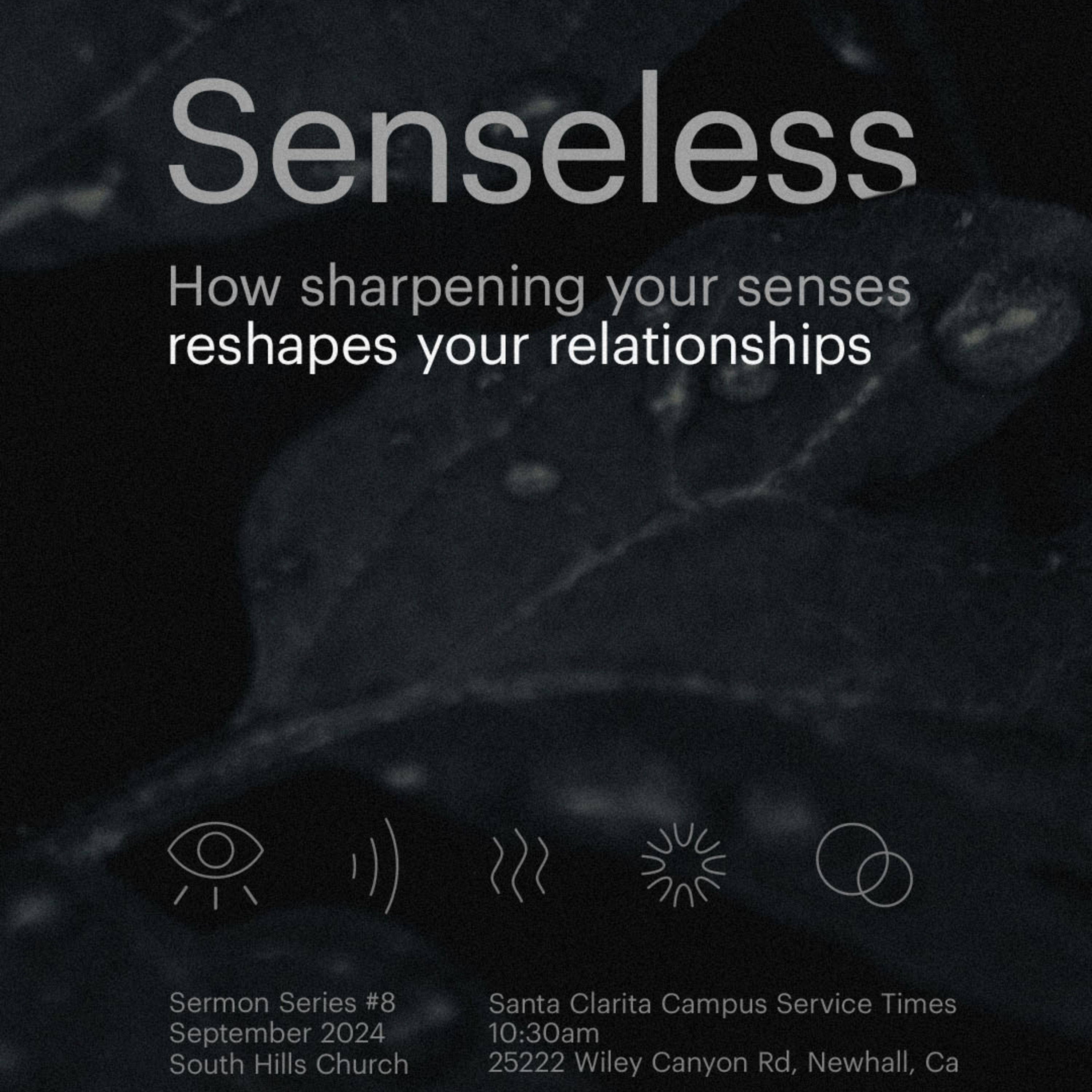 SENSELESS (WK 1)- SEE: WHY THE WAY WE LOOK AT THINGS CHANGES THEM & WHY SCRIPTURE TALKS SO MUCH ABOUT BLINDNESS  episode artwork