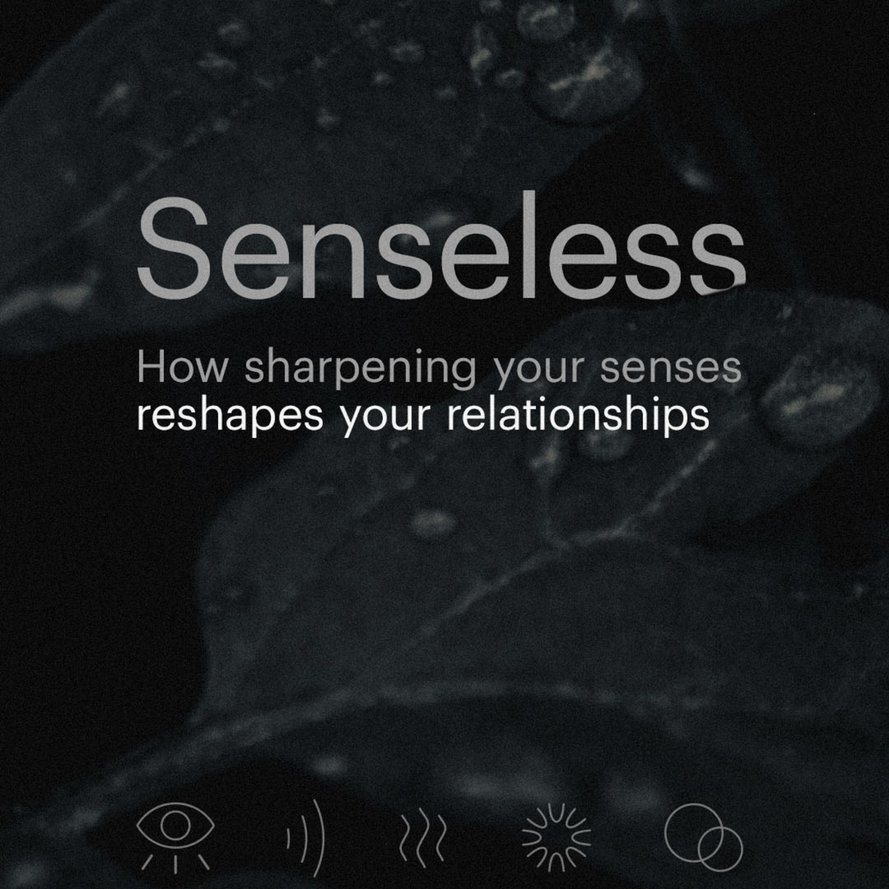 SENSELESS (WK 2)- HEAR: Why What We Listen To Changes Us and Half of Jesus’ Catch Phrases Were About Hearing episode artwork