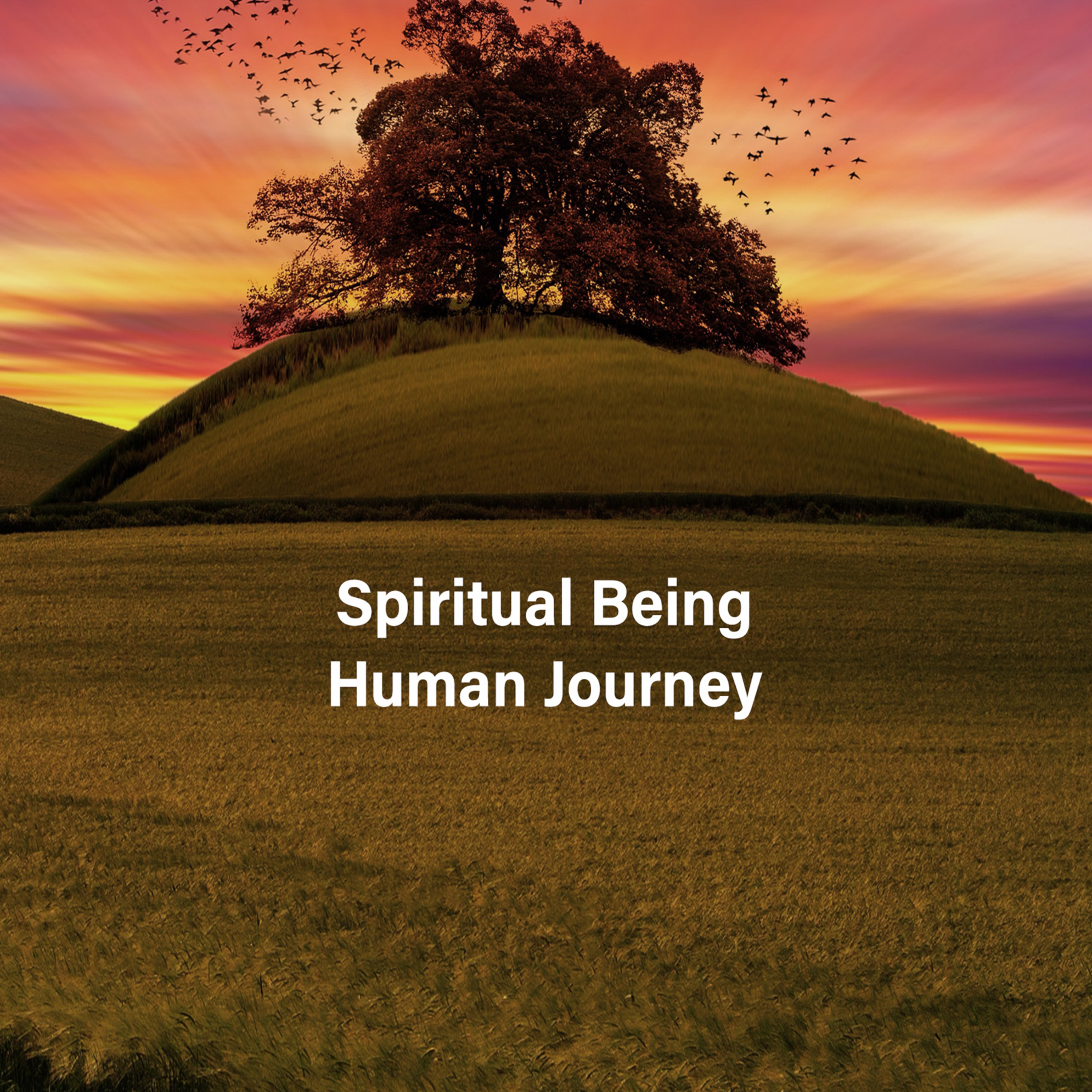 My Road Goes Ever On: Spiritual Being Human Journey episode artwork