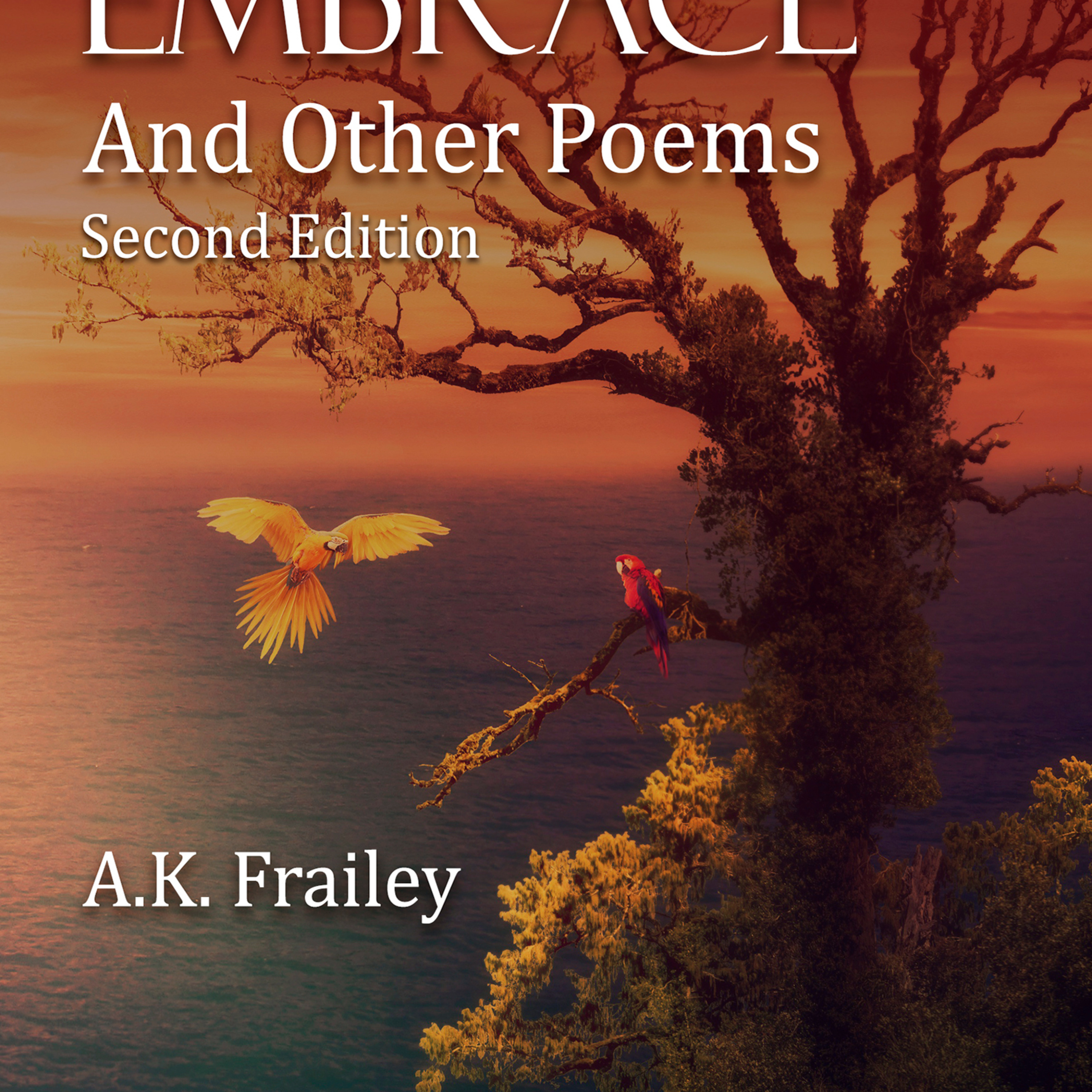 Hope's Embrace: And Other Poems episode artwork