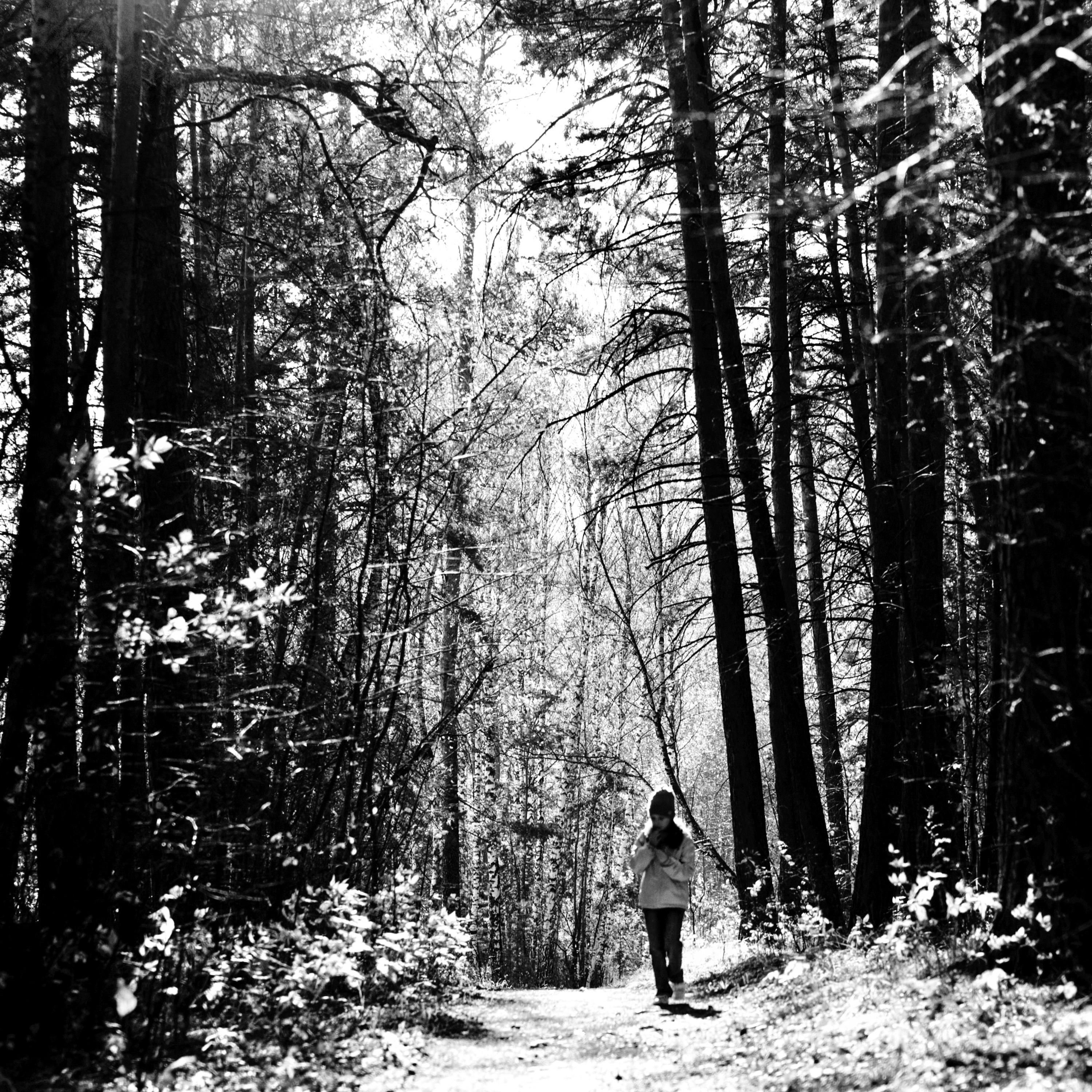 aquele que habita os céus sorri